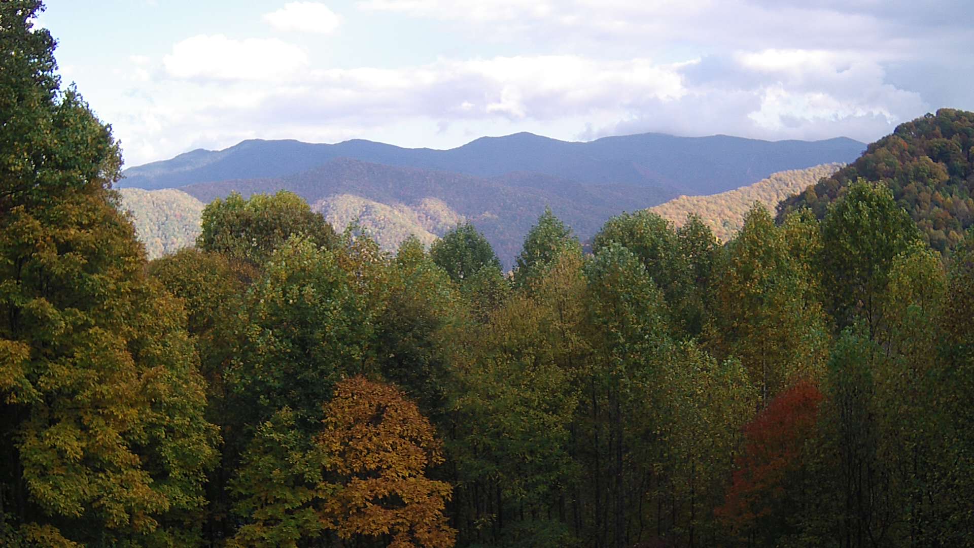 click for next image... slideshow image