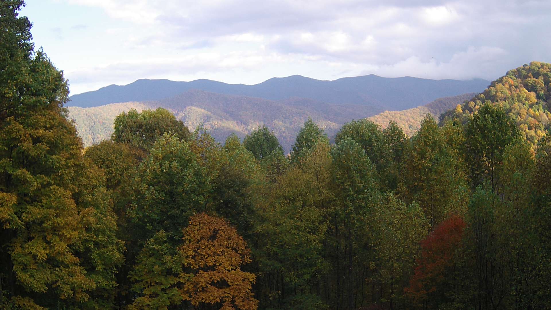 click for next image... slideshow image