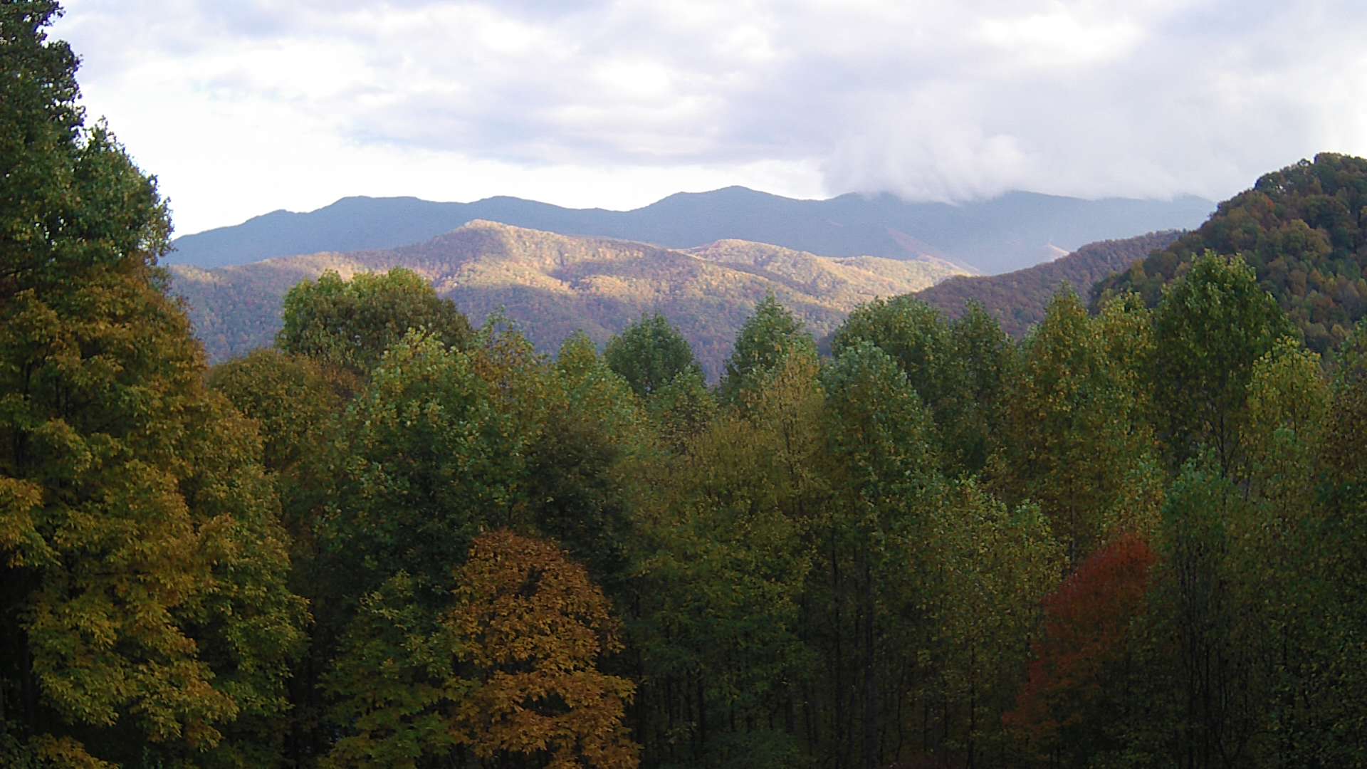 click for next image... slideshow image