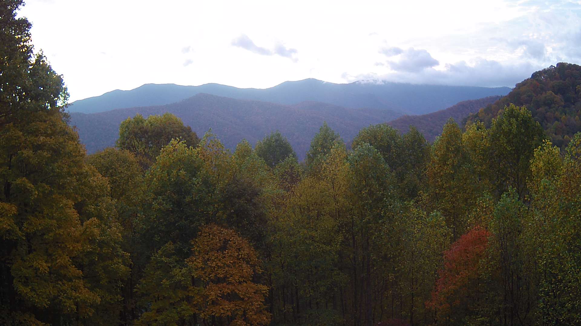 click for next image... slideshow image