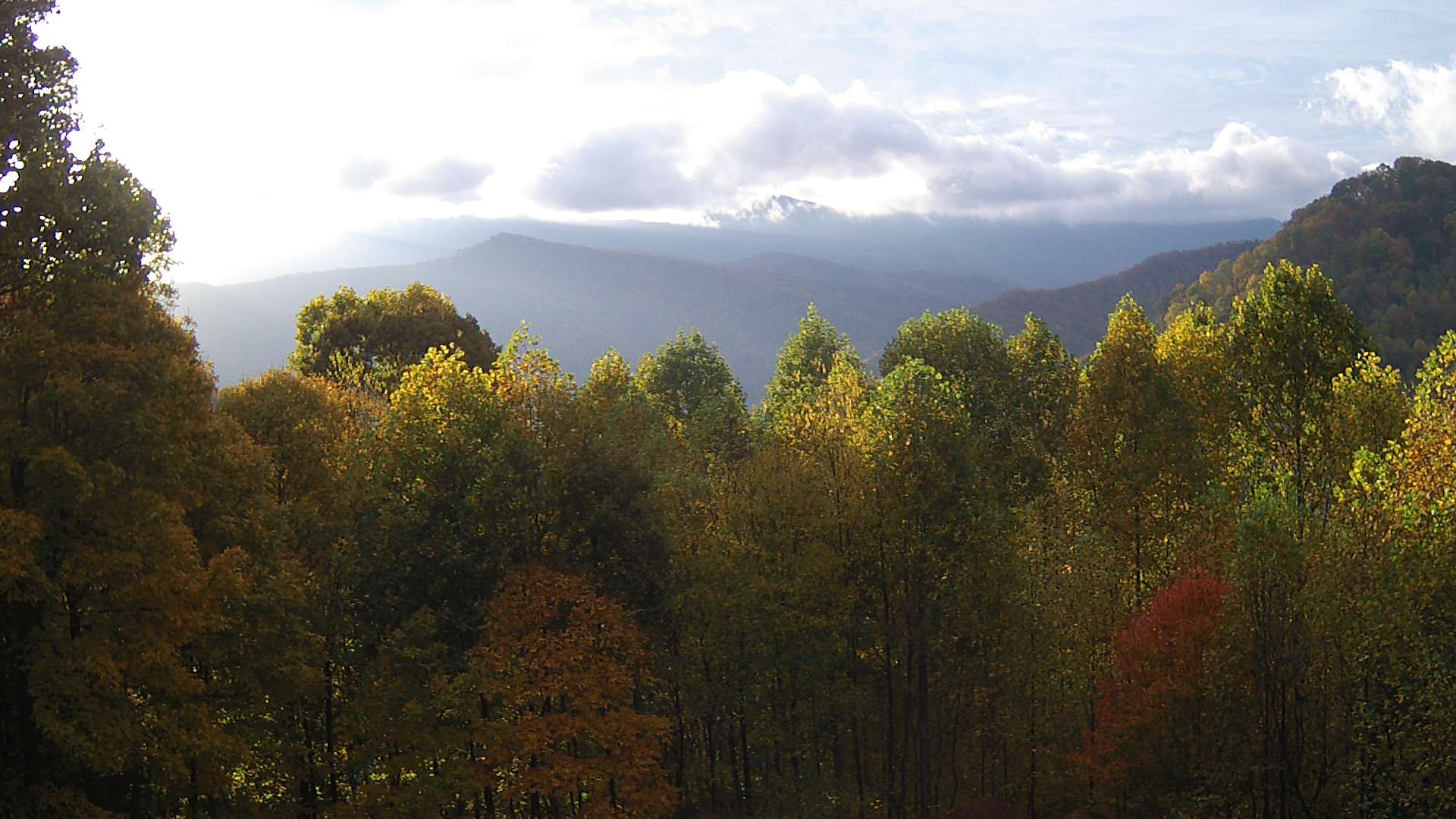 click for next image... slideshow image