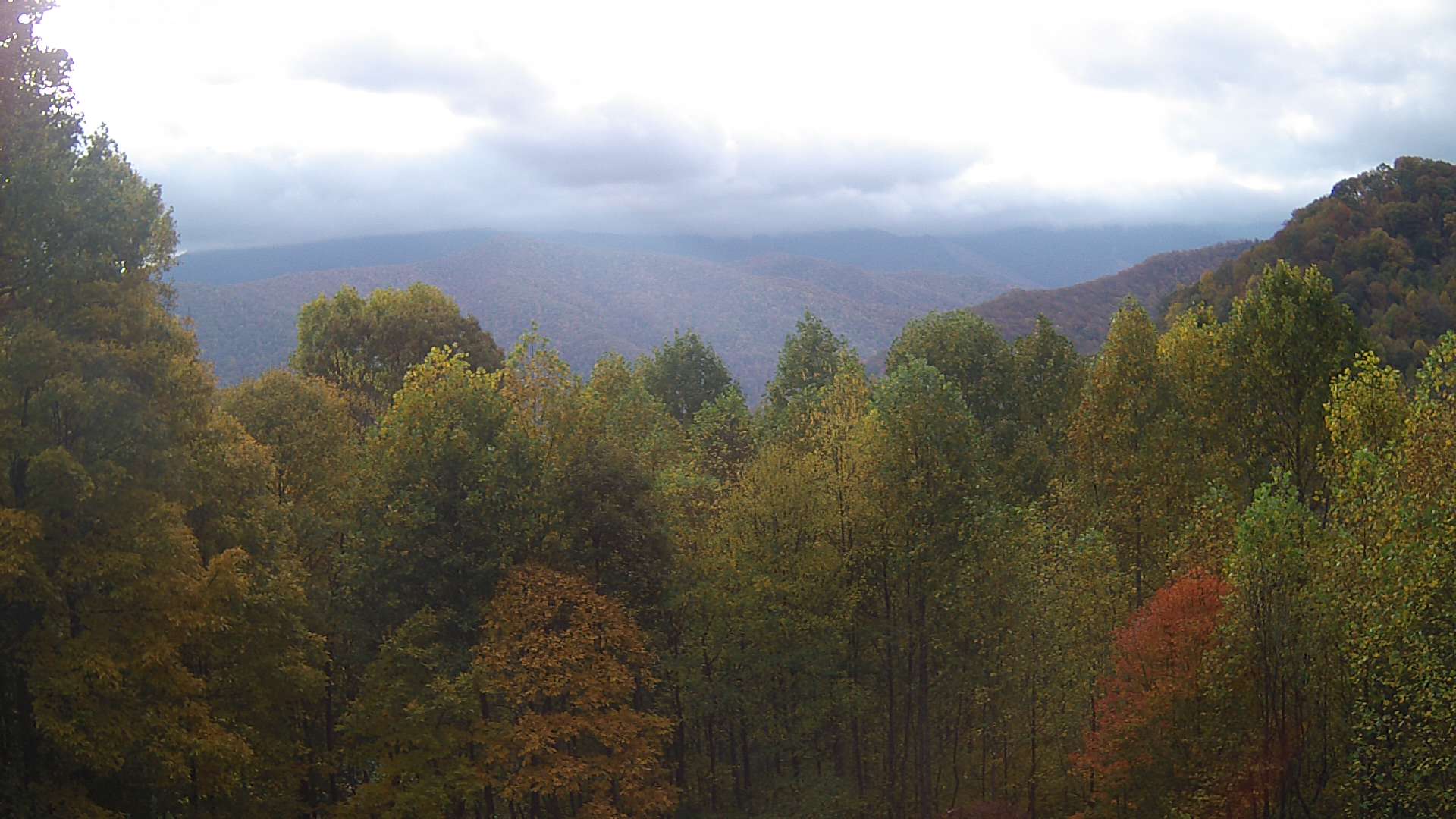 click for next image... slideshow image