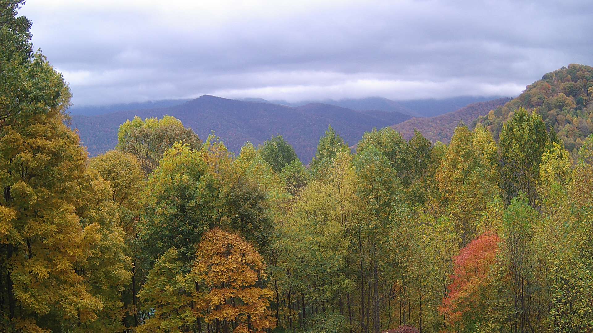 click for next image... slideshow image