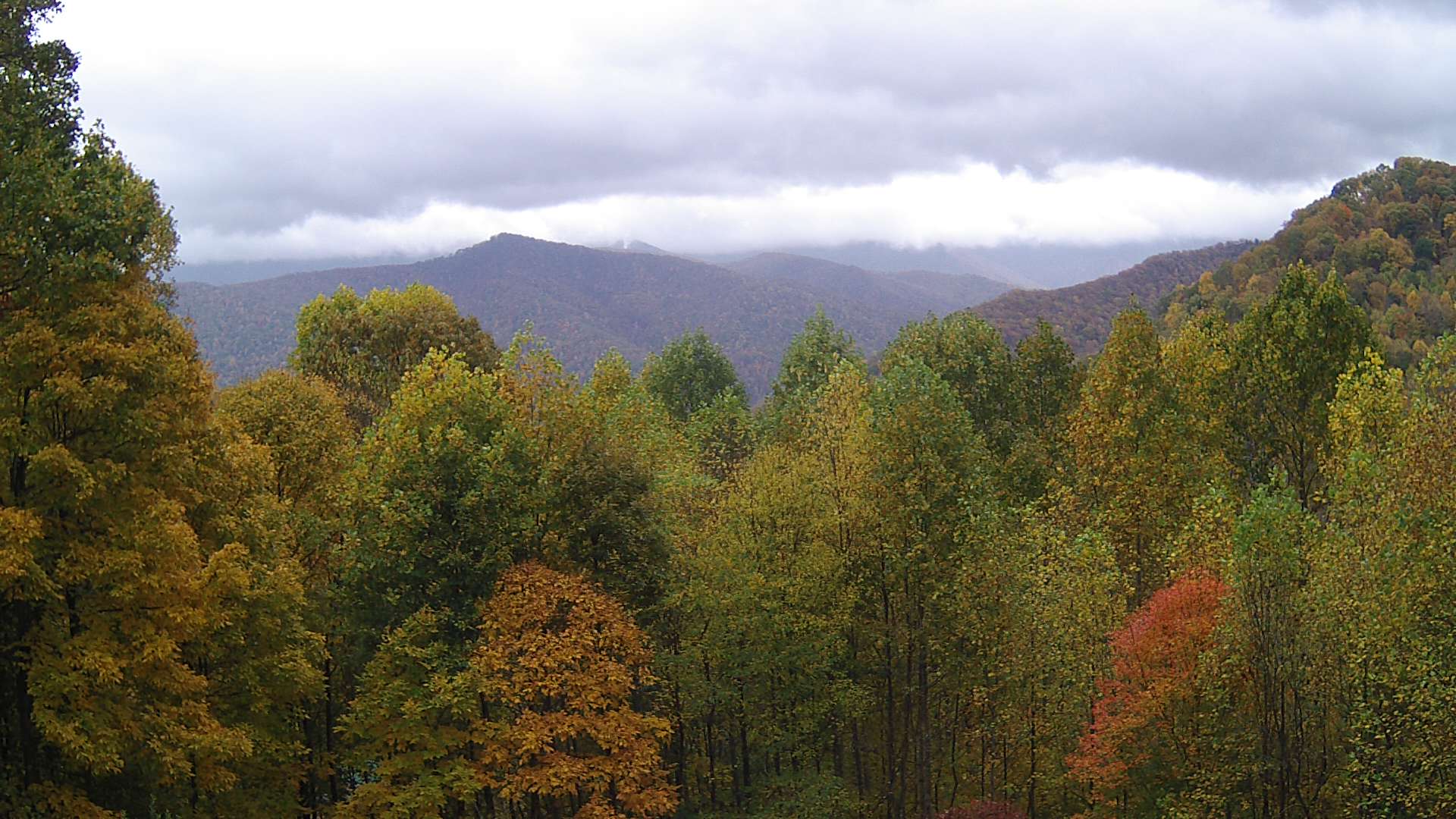 click for next image... slideshow image