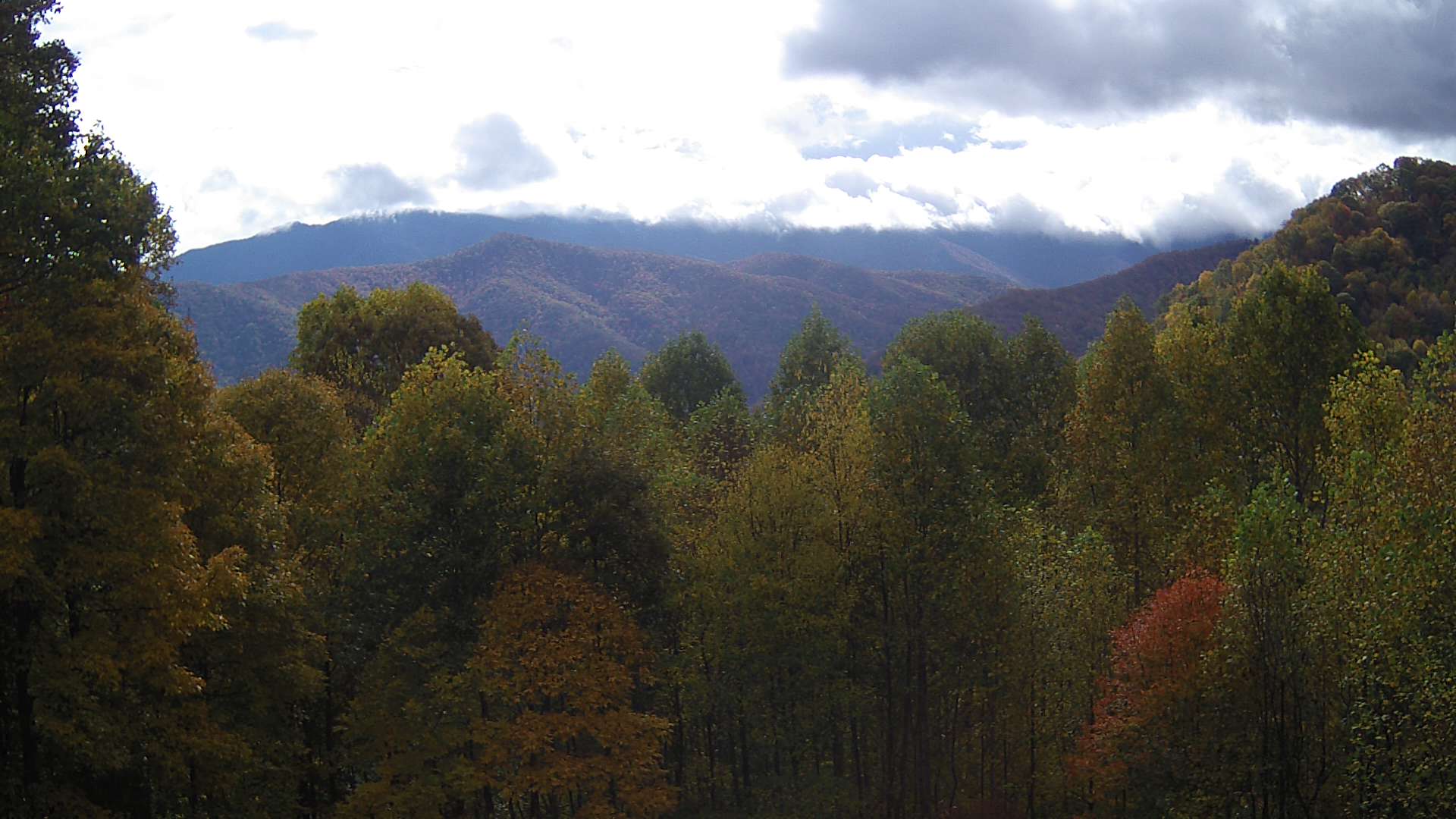 click for next image... slideshow image