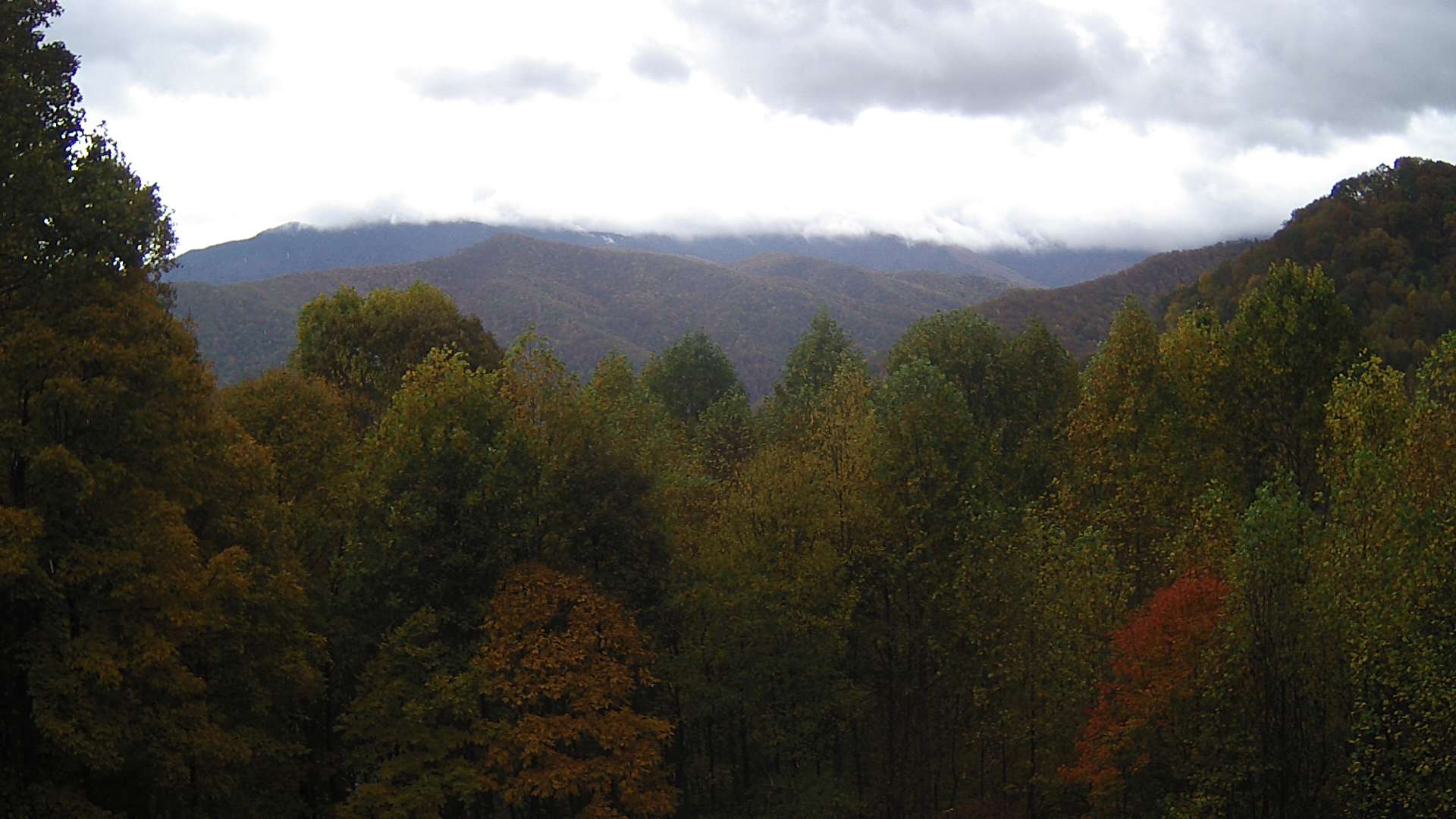 click for next image... slideshow image