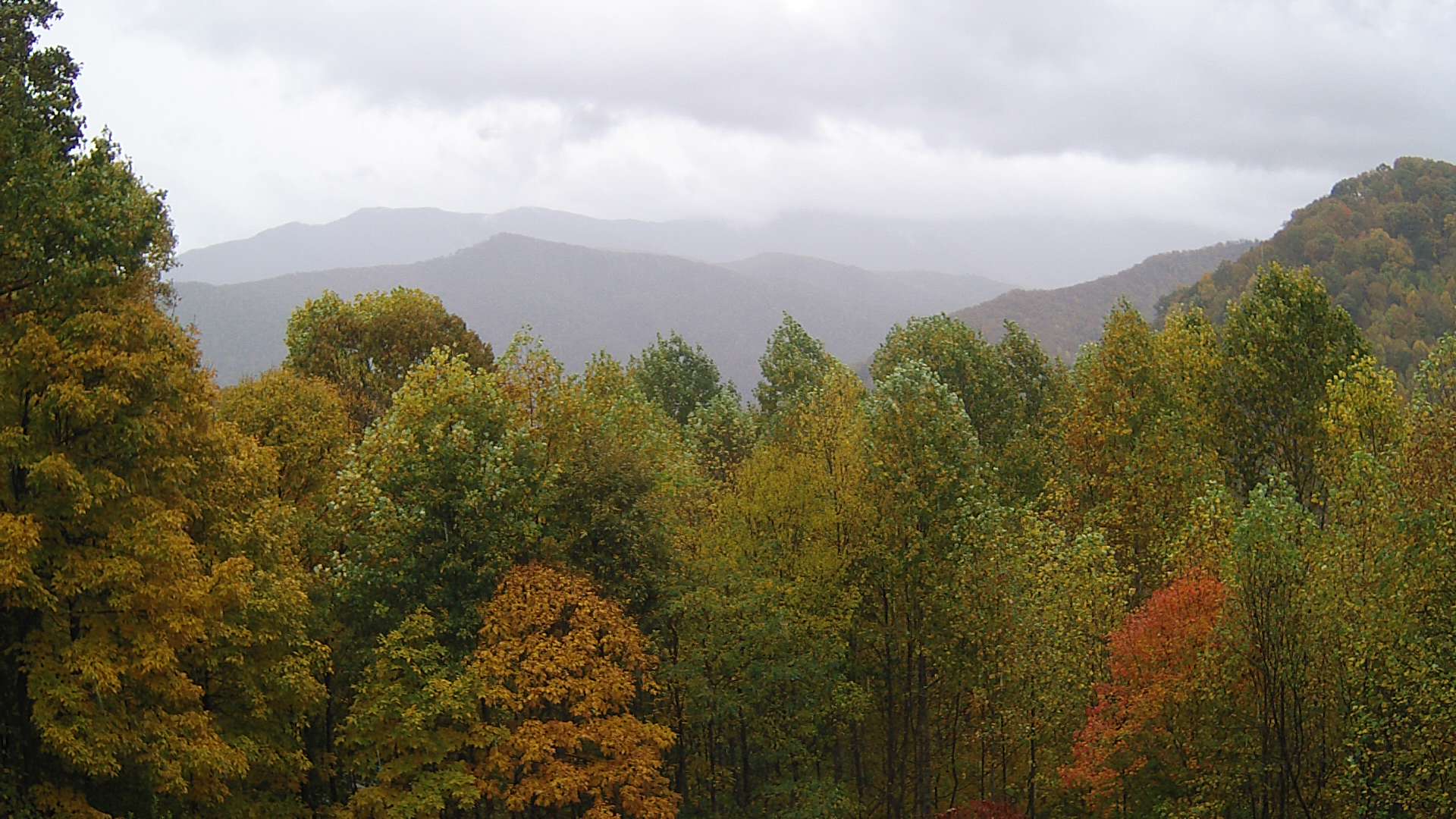 click for next image... slideshow image