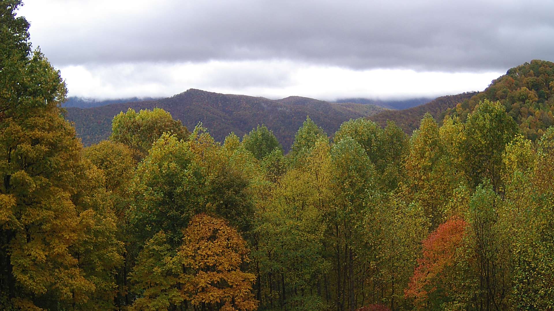 click for next image... slideshow image