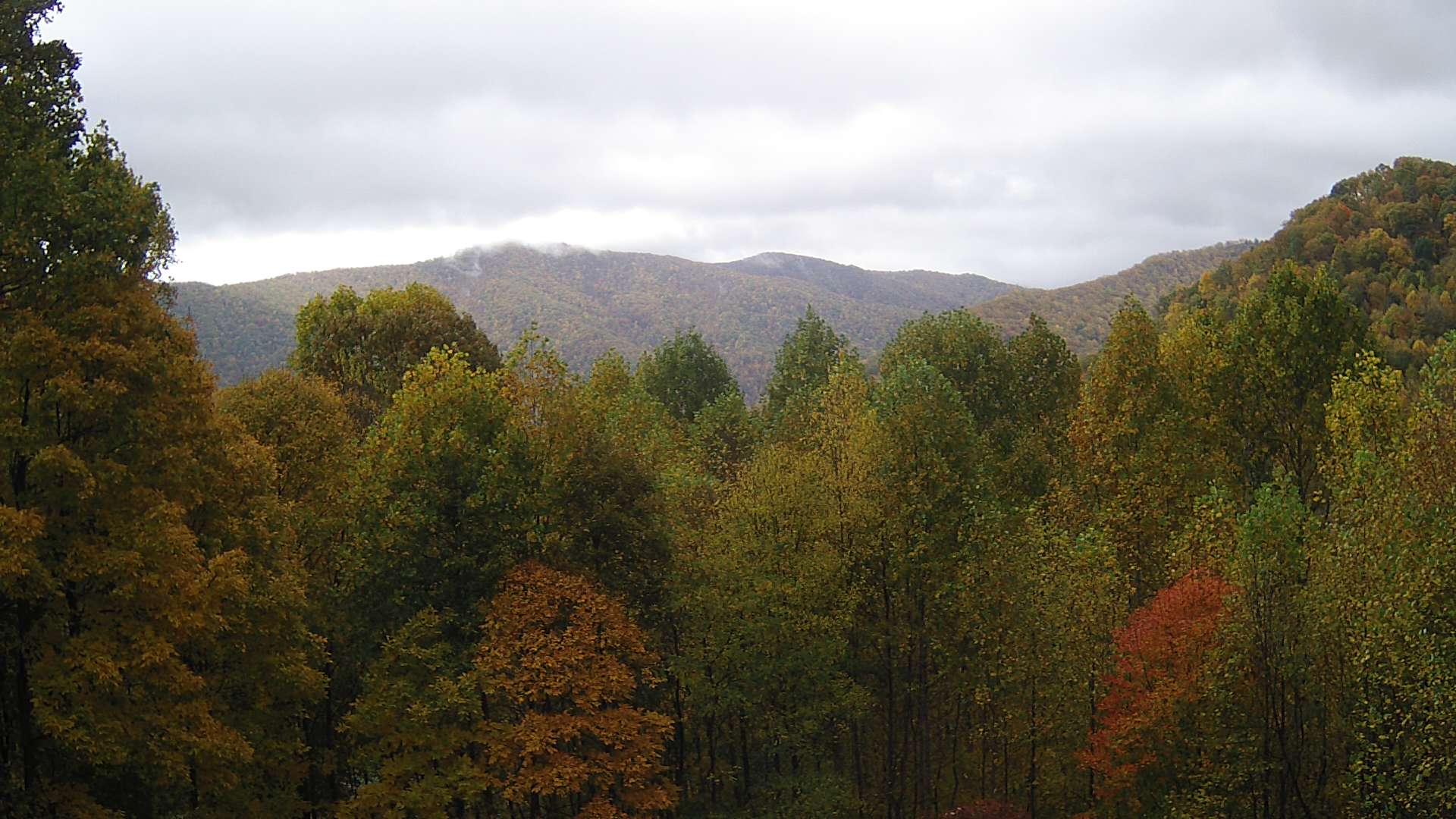 click for next image... slideshow image