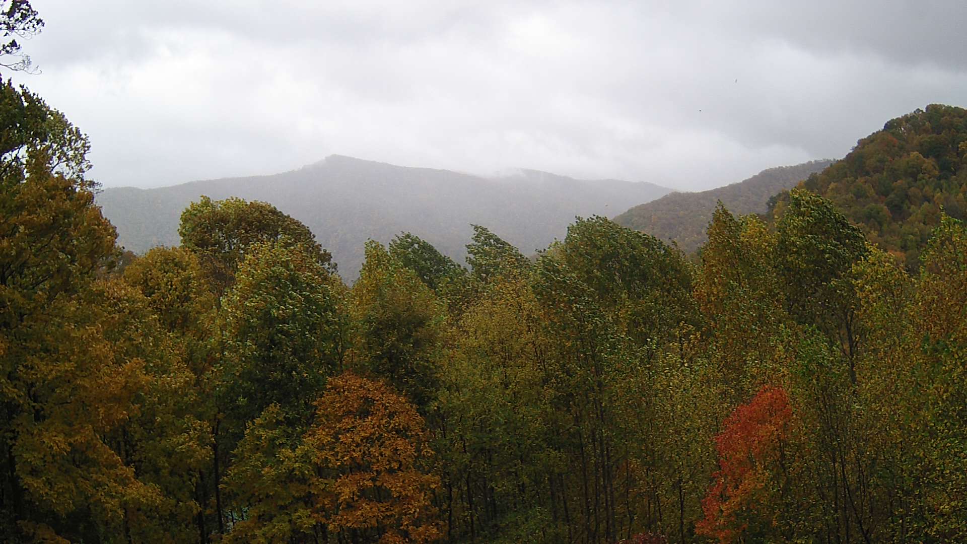 click for next image... slideshow image