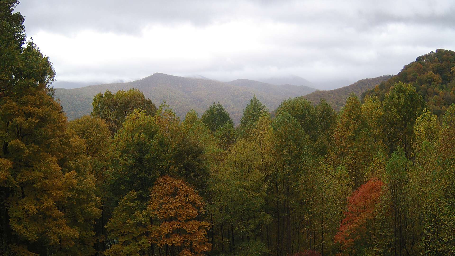 click for next image... slideshow image