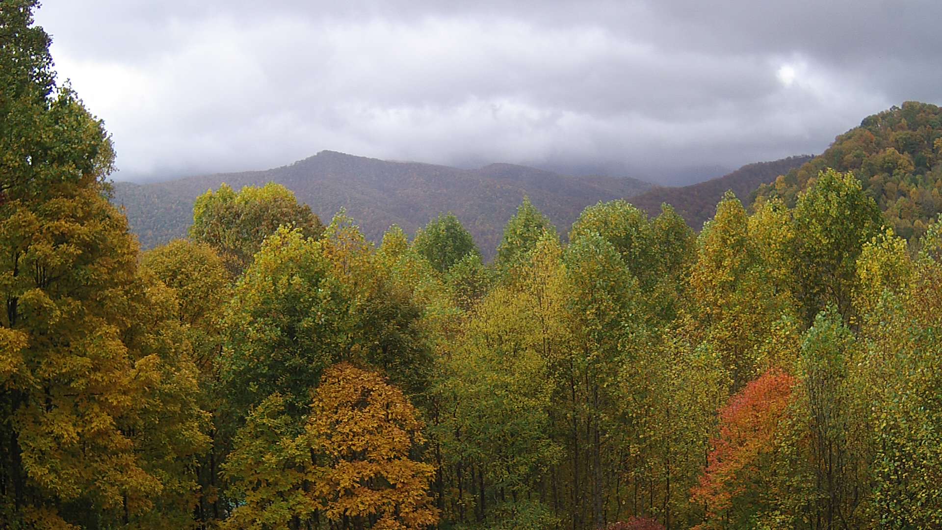 click for next image... slideshow image