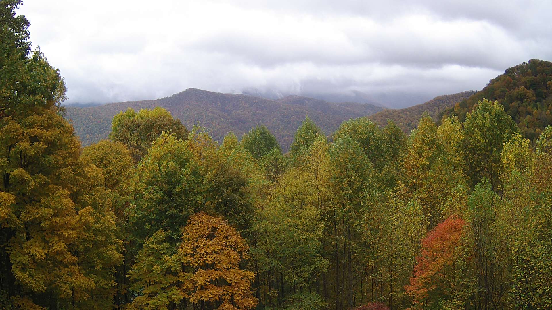 click for next image... slideshow image