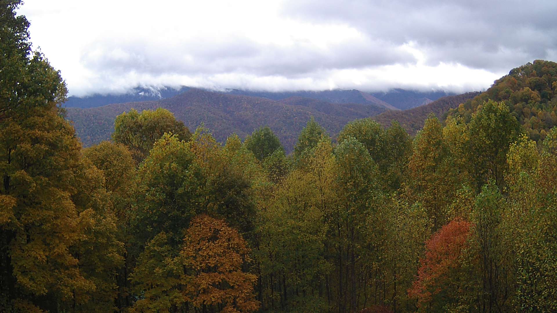 click for next image... slideshow image