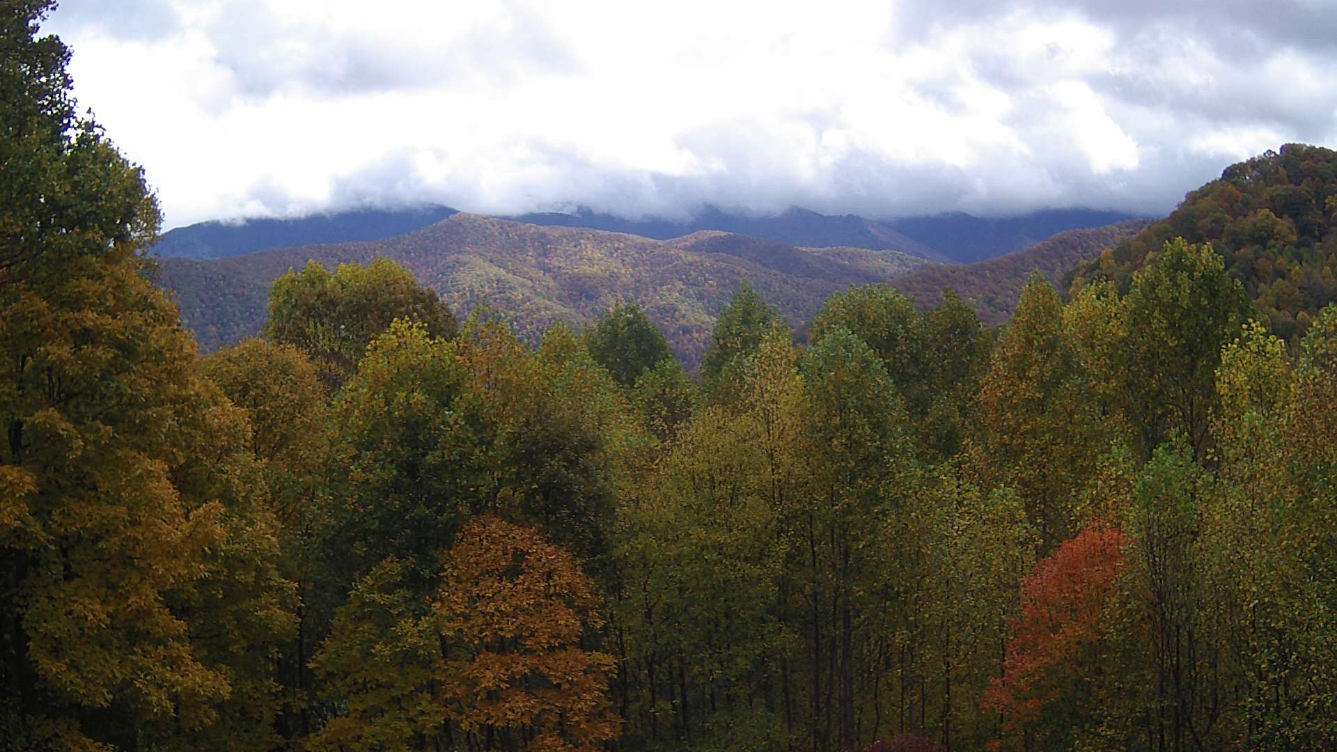 click for next image... slideshow image