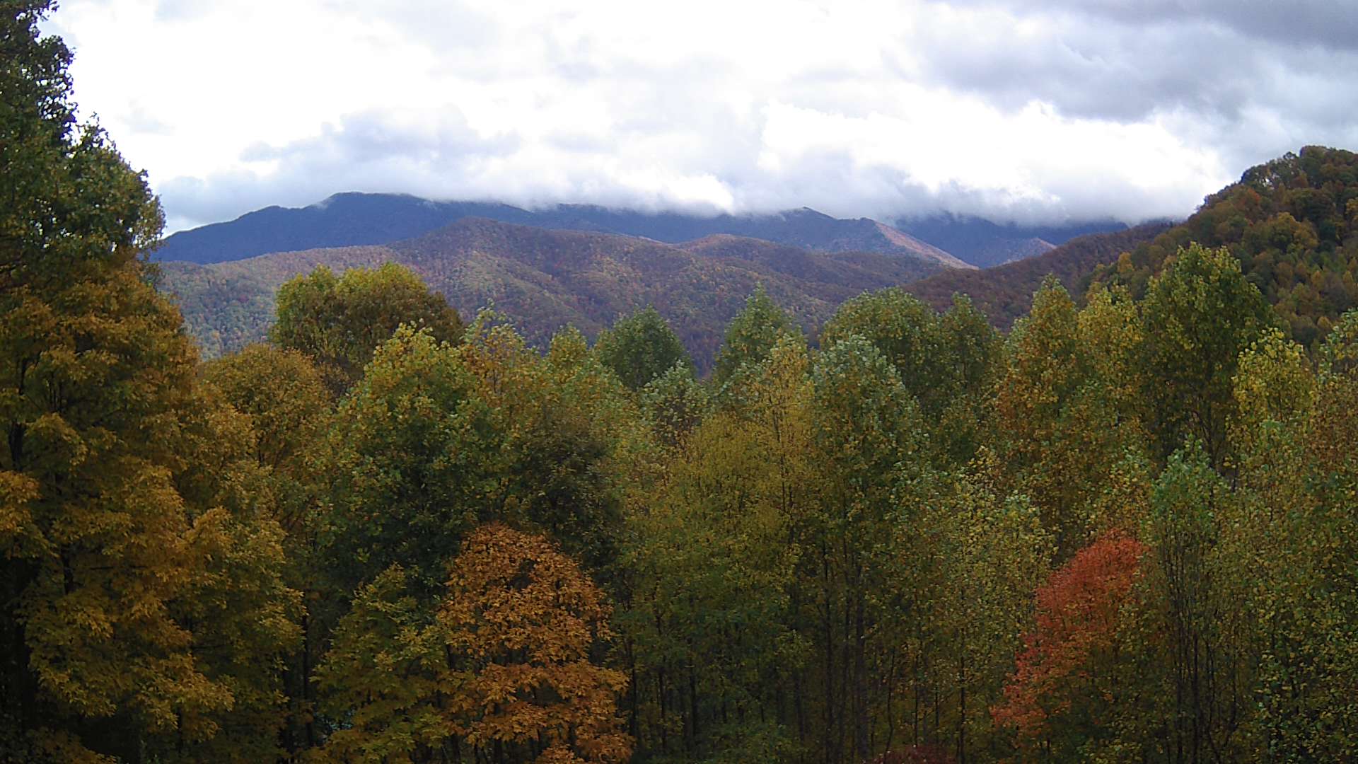 click for next image... slideshow image