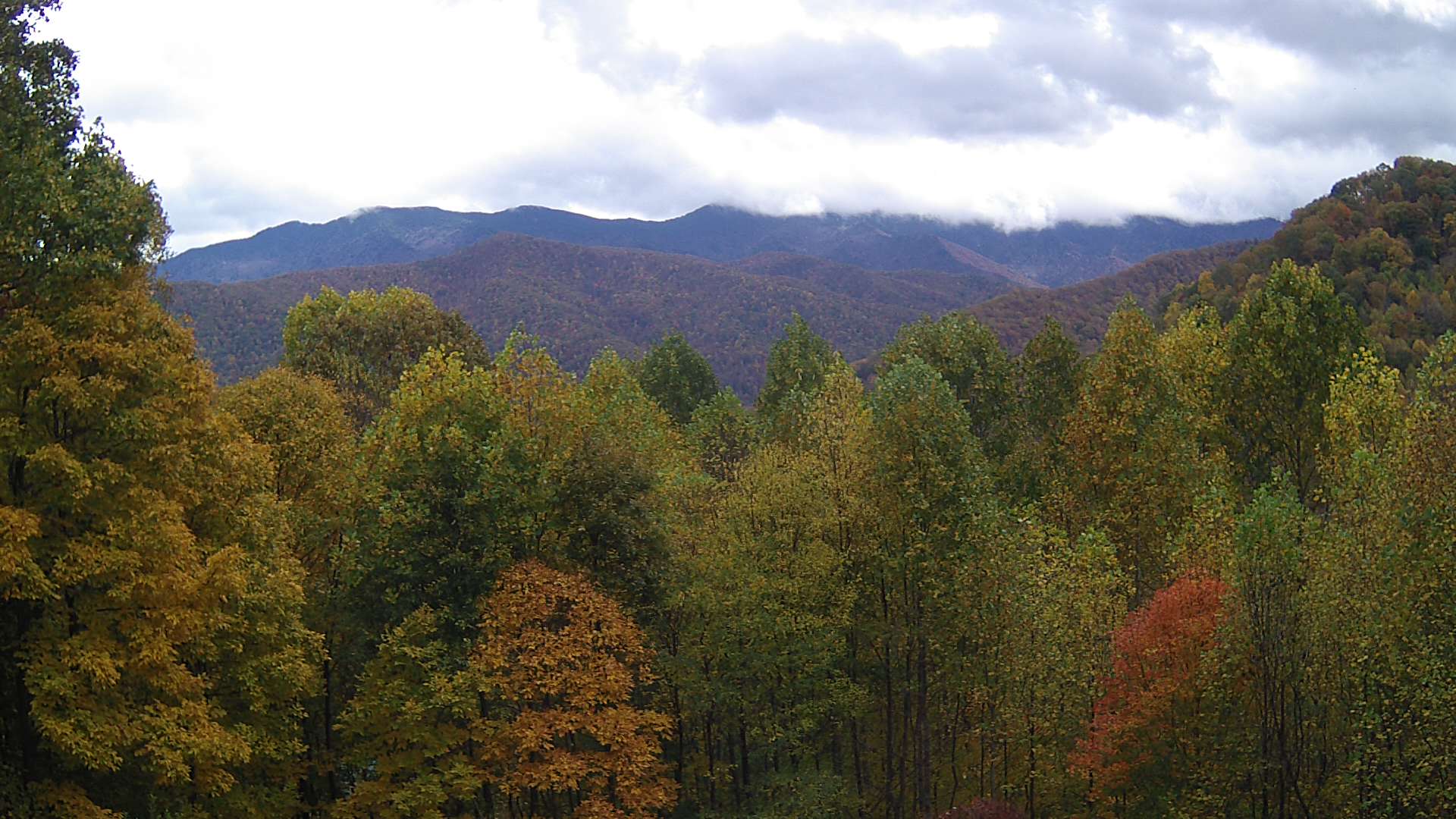 click for next image... slideshow image