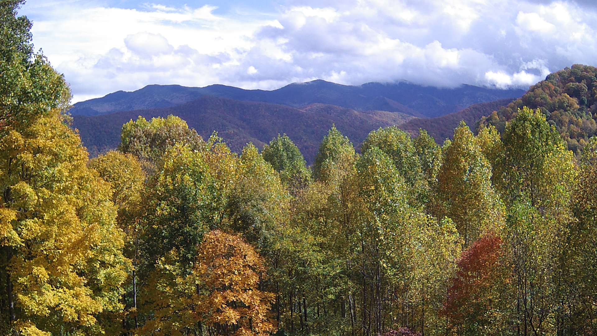 click for next image... slideshow image