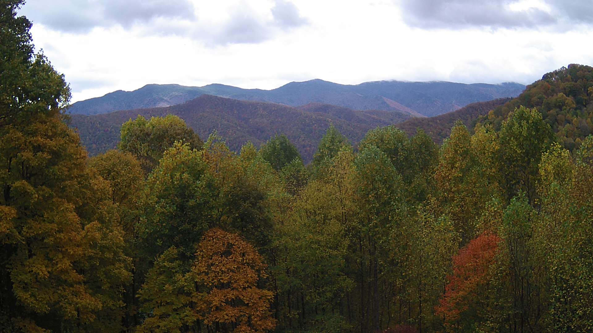 click for next image... slideshow image