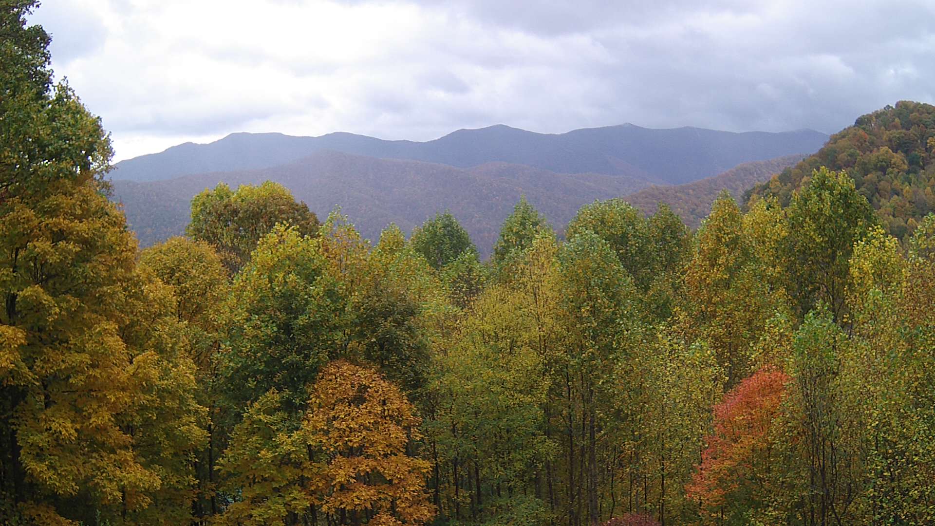 click for next image... slideshow image