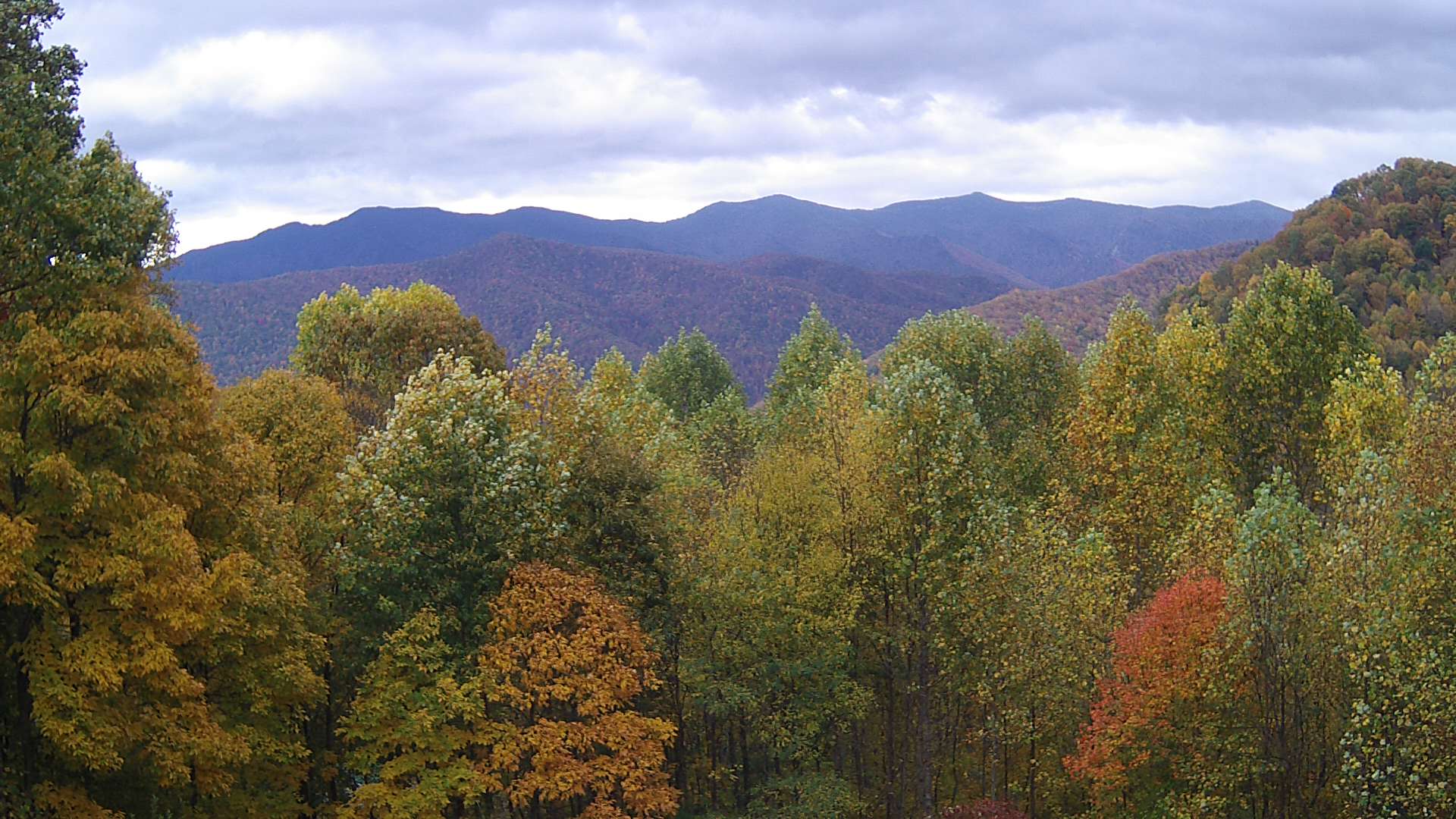 click for next image... slideshow image