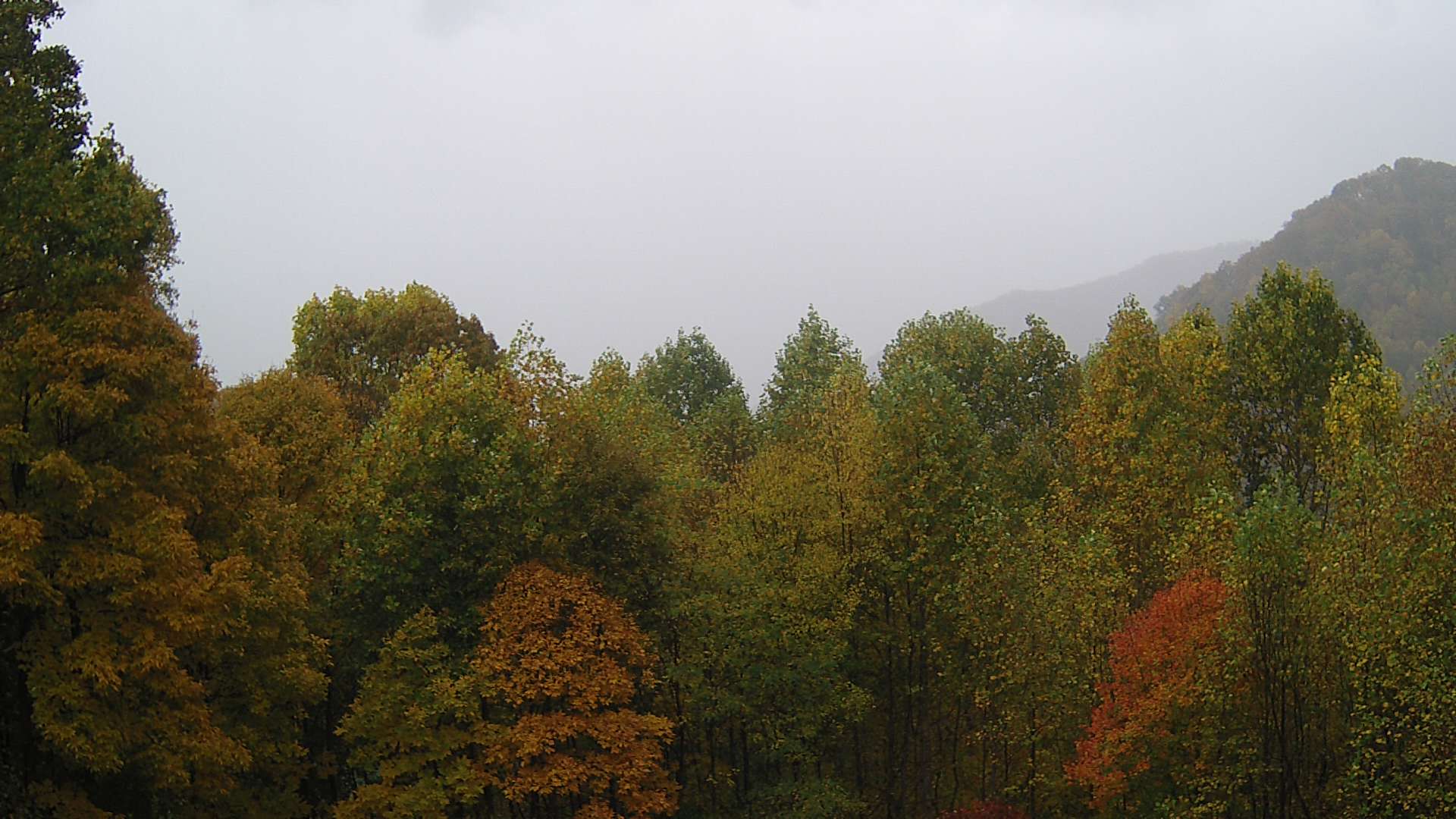 click for next image... slideshow image