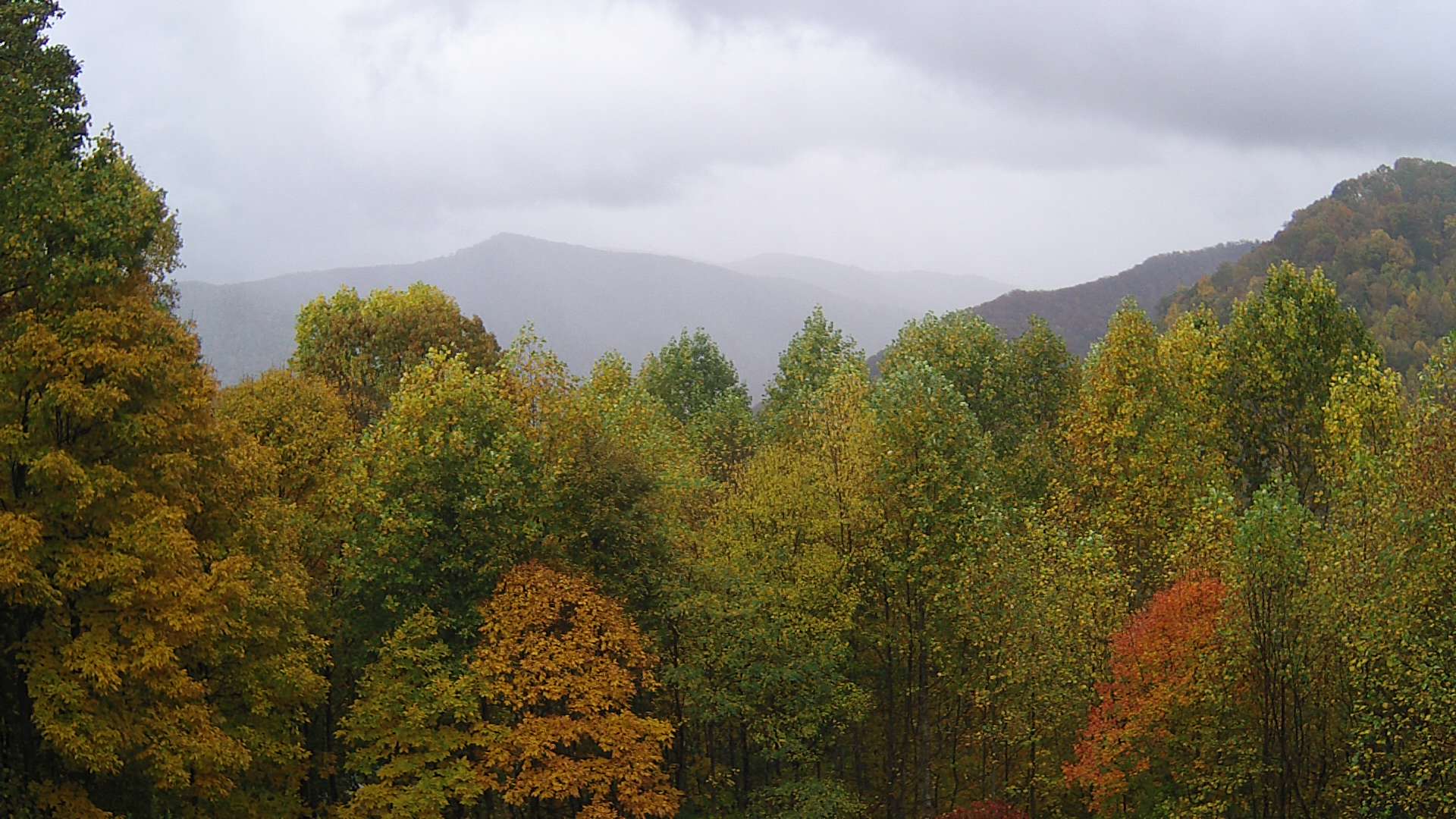 click for next image... slideshow image