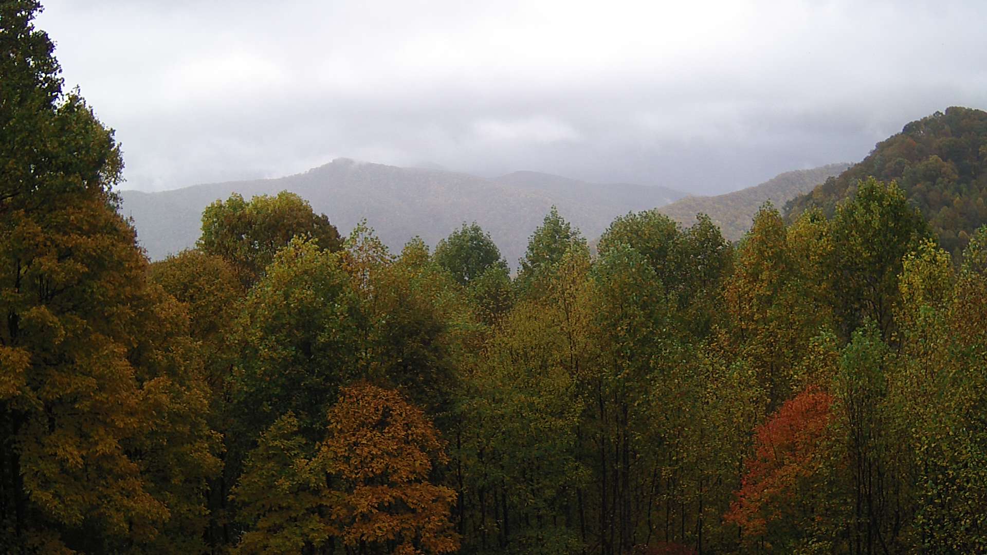 click for next image... slideshow image