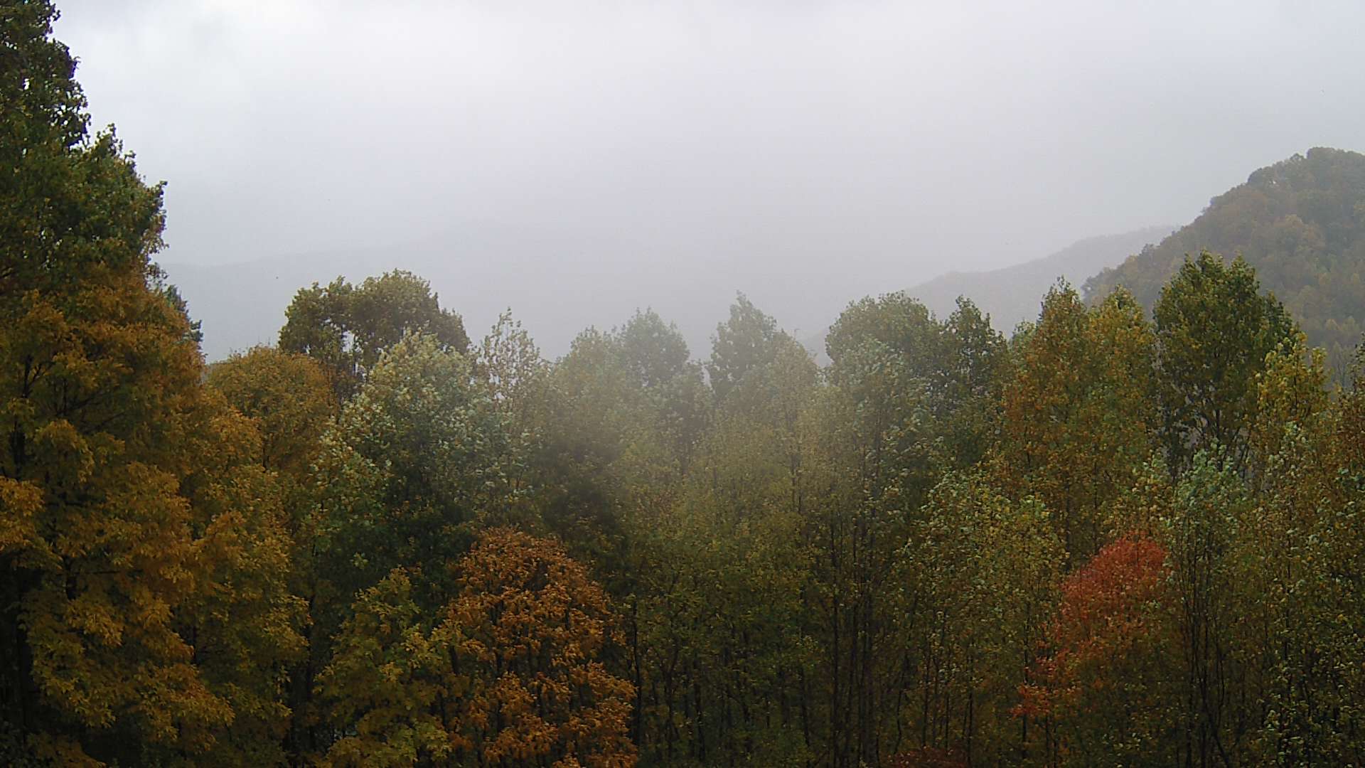 click for next image... slideshow image