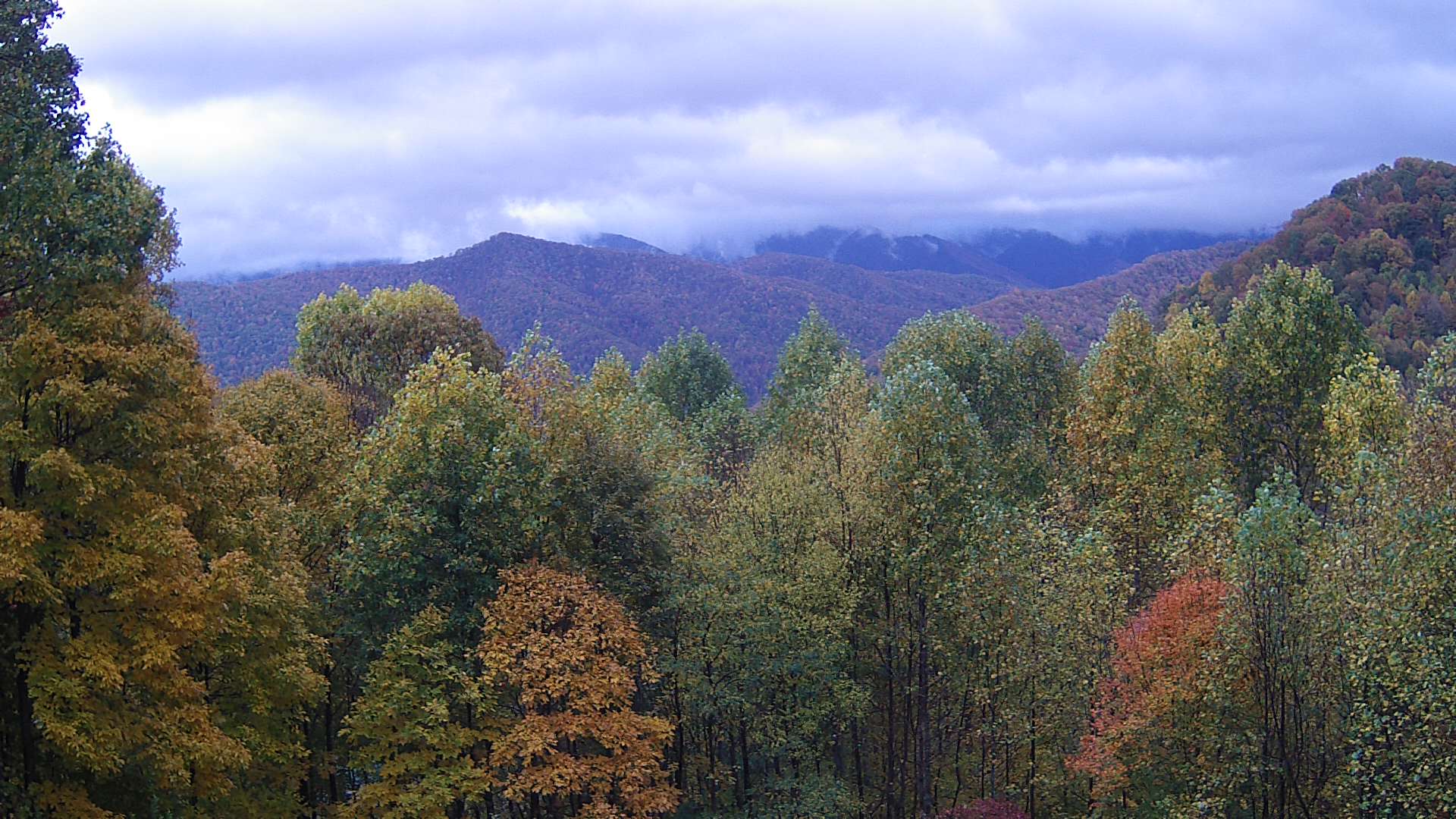 click for next image... slideshow image