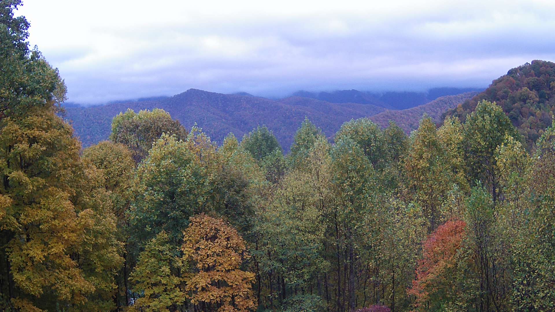 click for next image... slideshow image