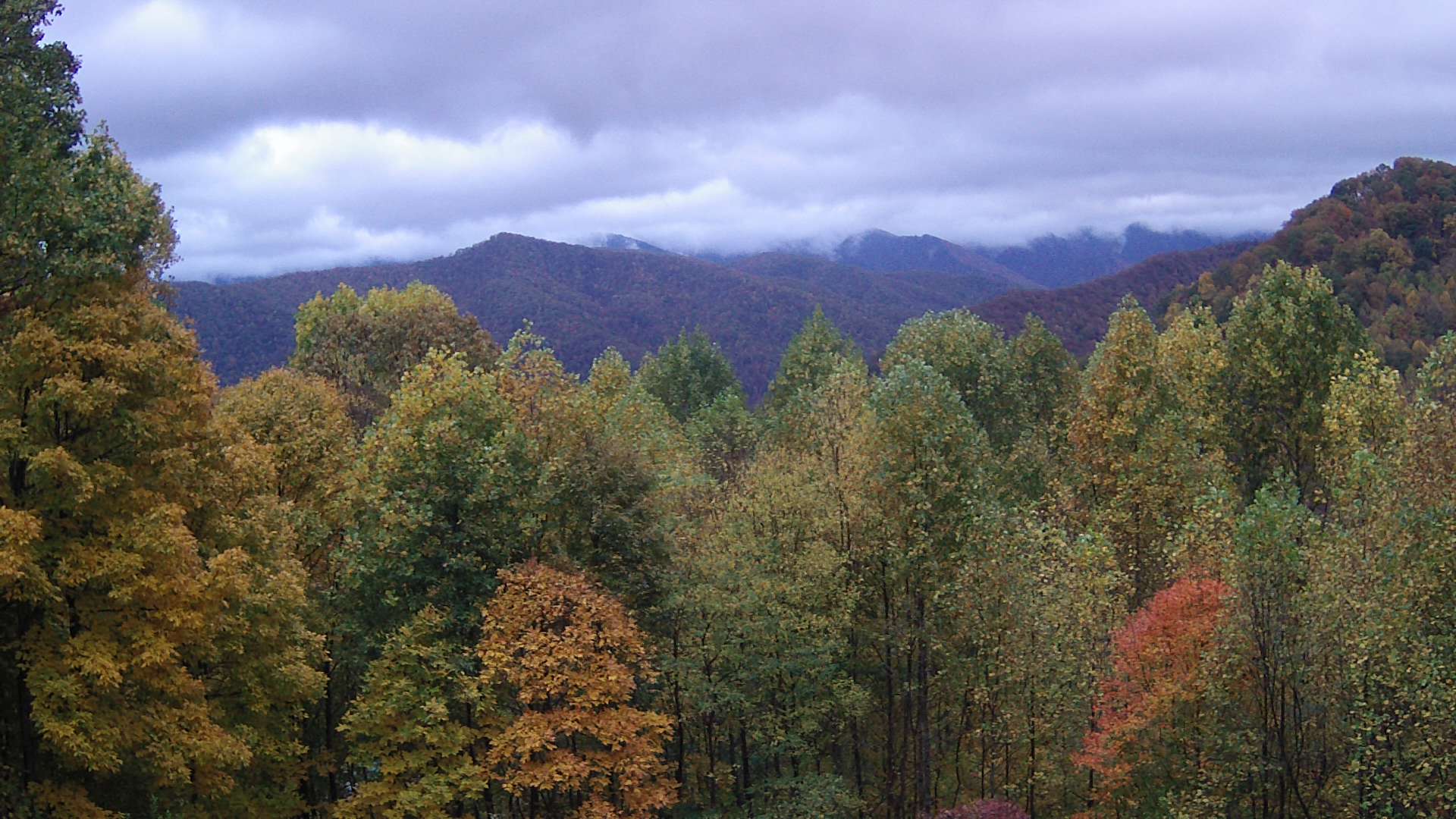 click for next image... slideshow image