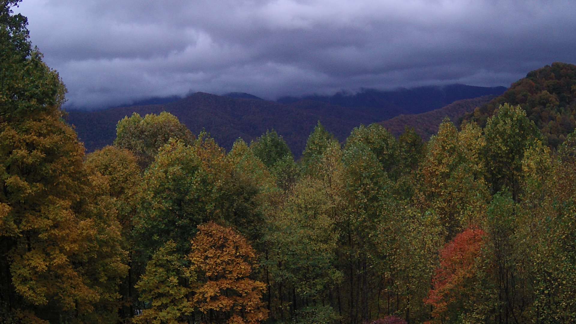 click for next image... slideshow image