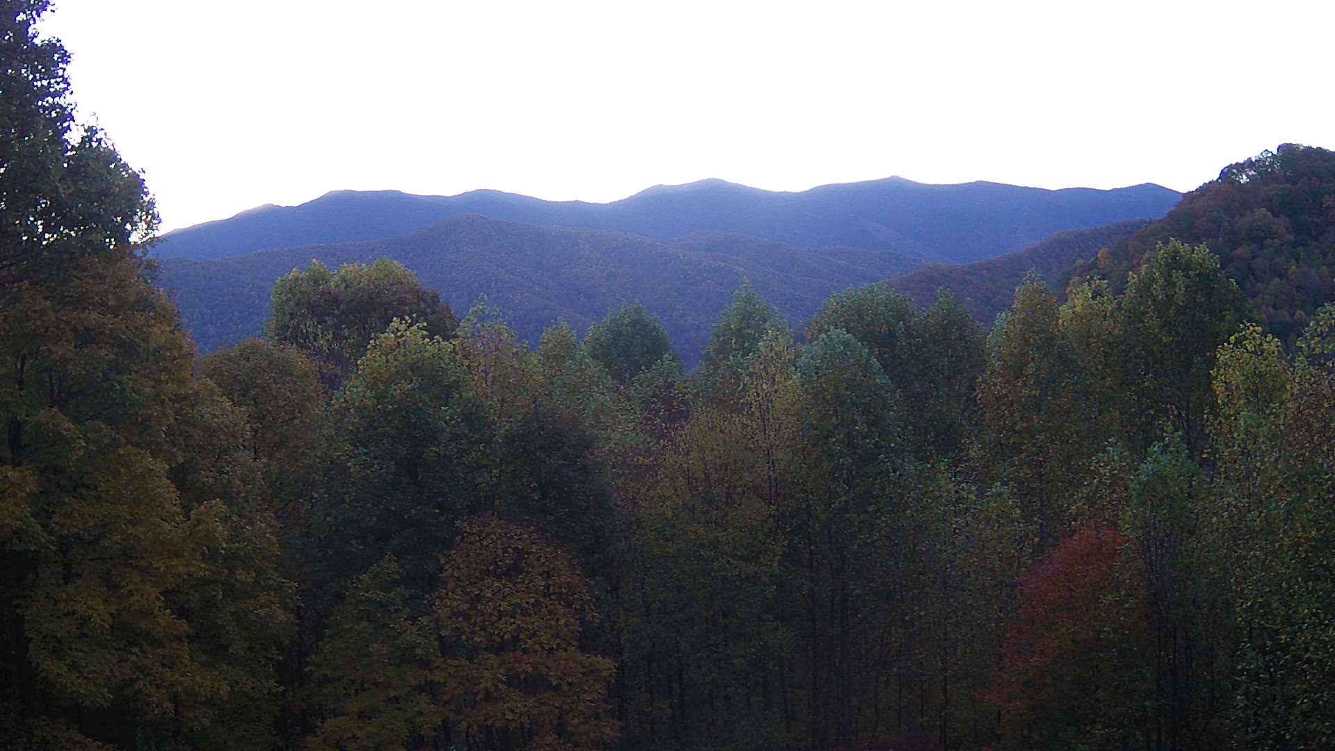 click for next image... slideshow image