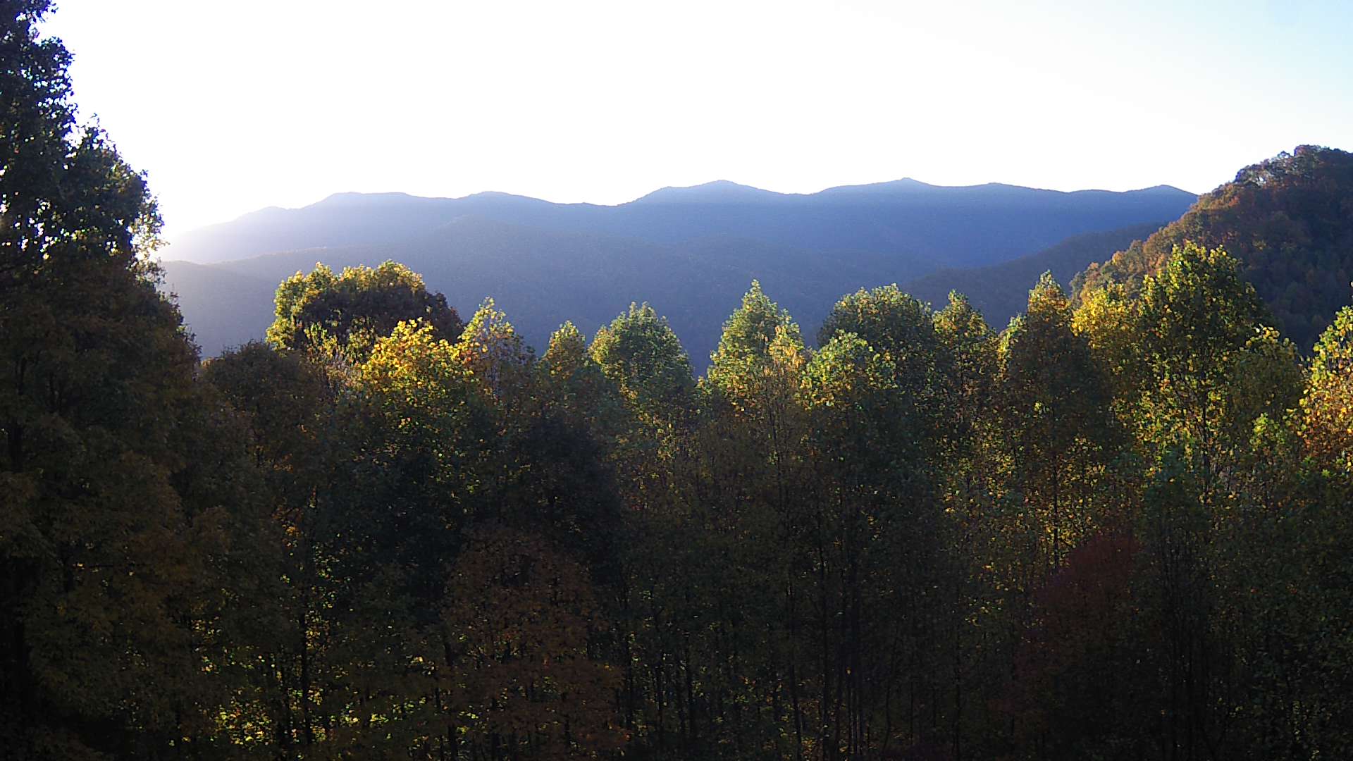 click for next image... slideshow image