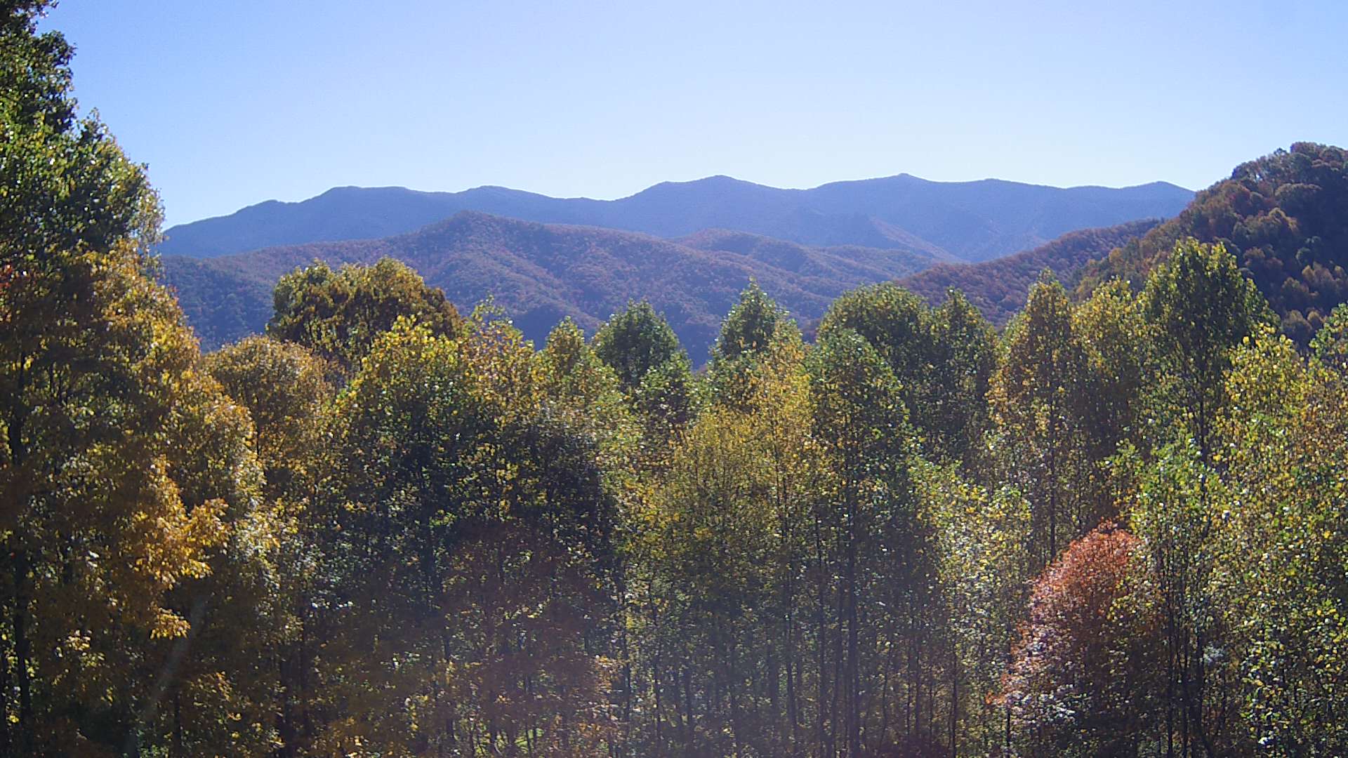 click for next image... slideshow image