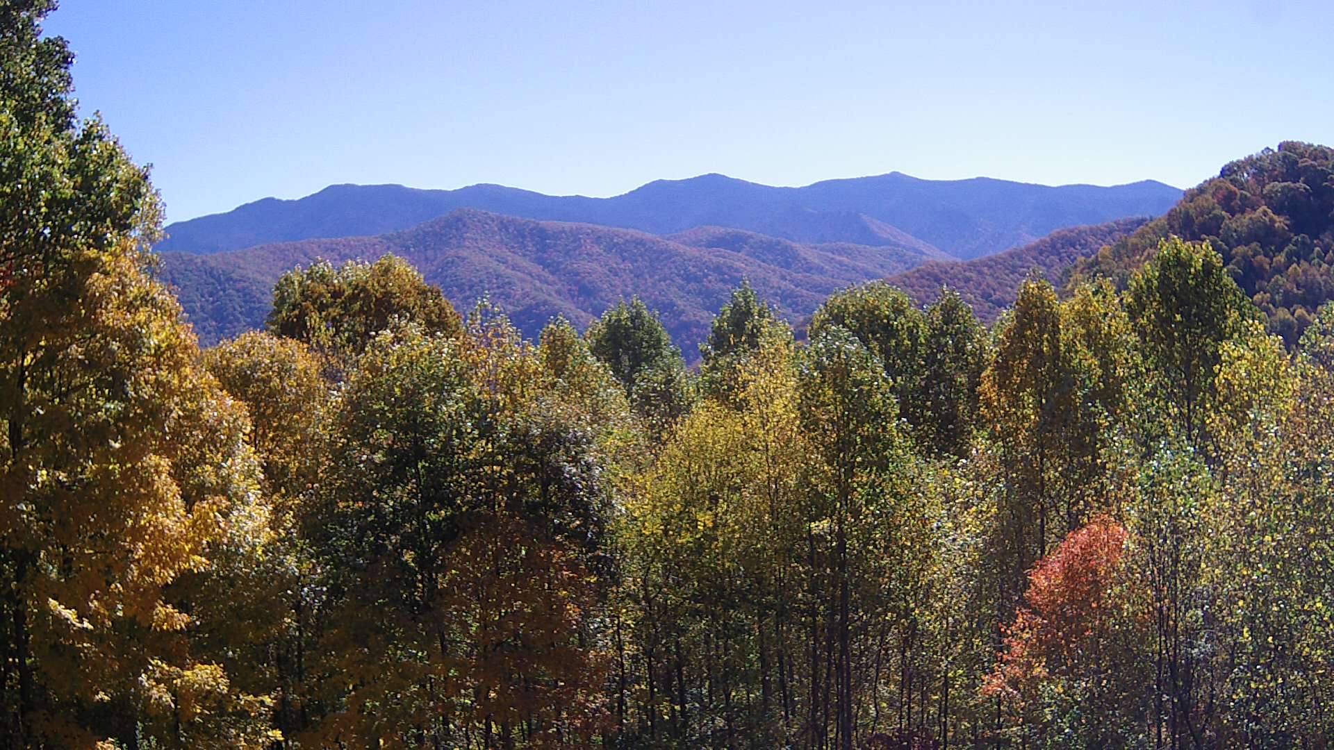 click for next image... slideshow image