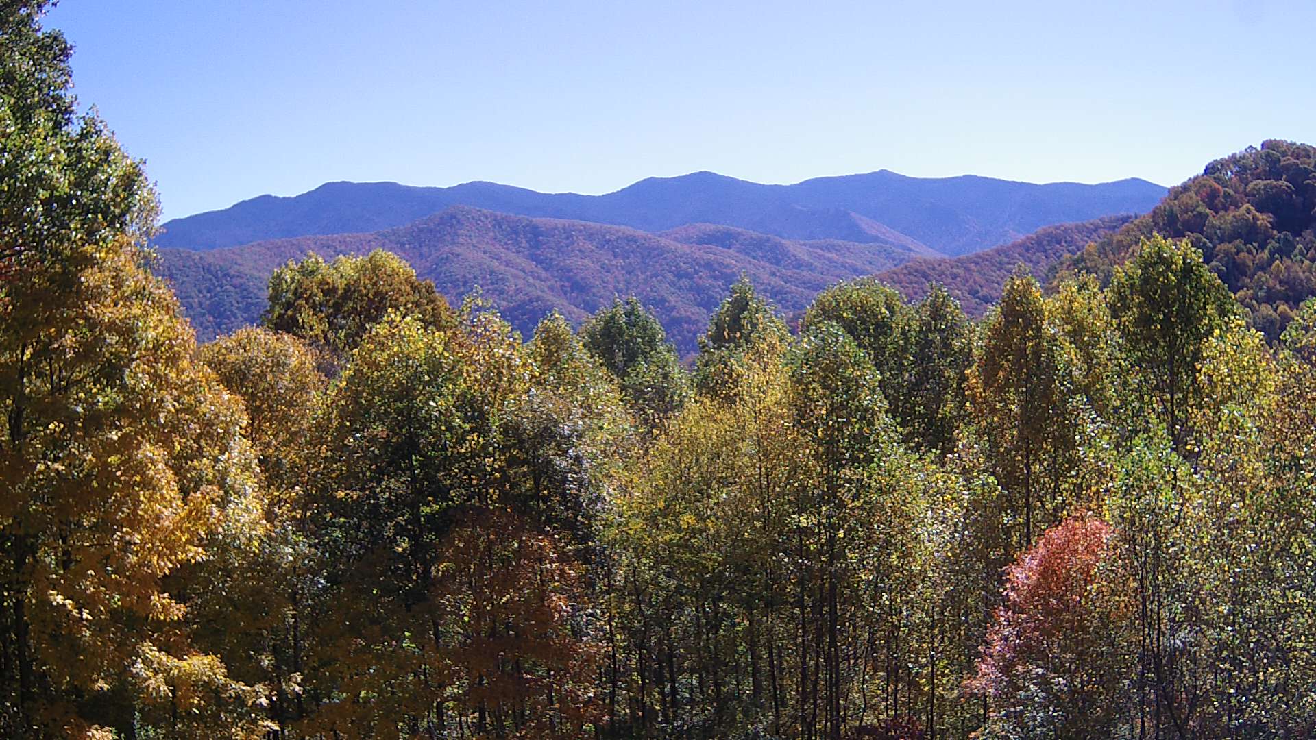 click for next image... slideshow image