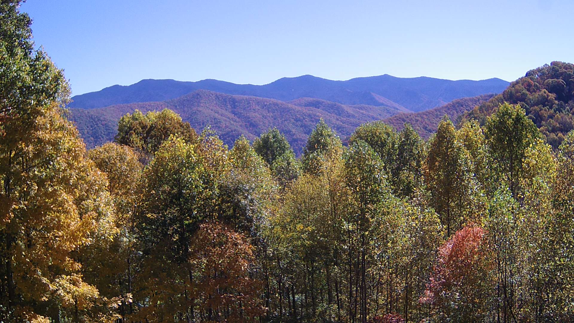 click for next image... slideshow image