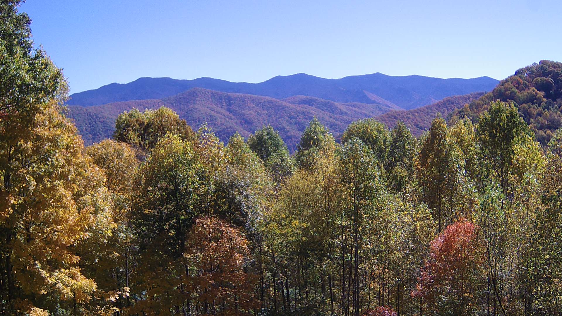 click for next image... slideshow image