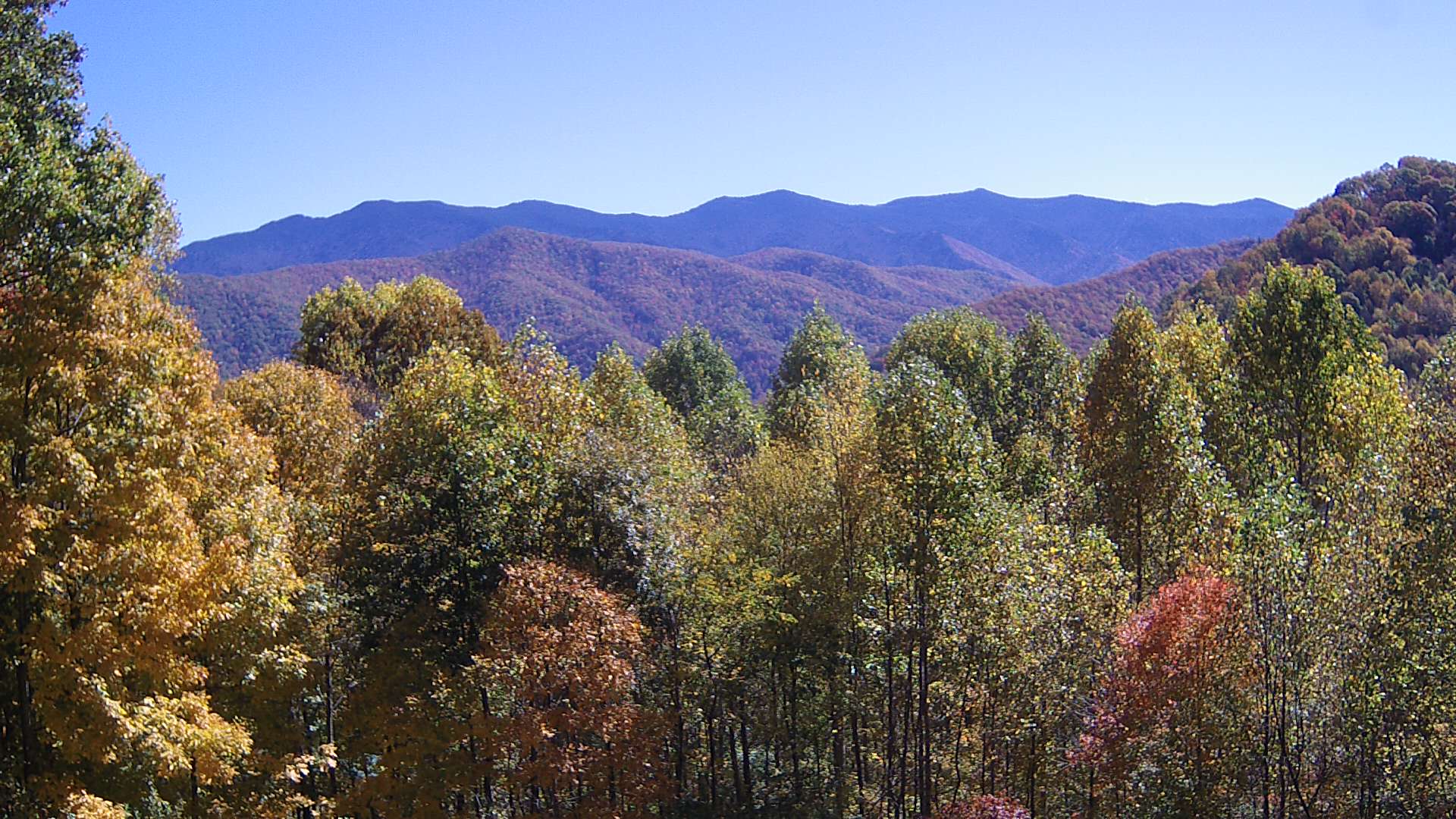 click for next image... slideshow image