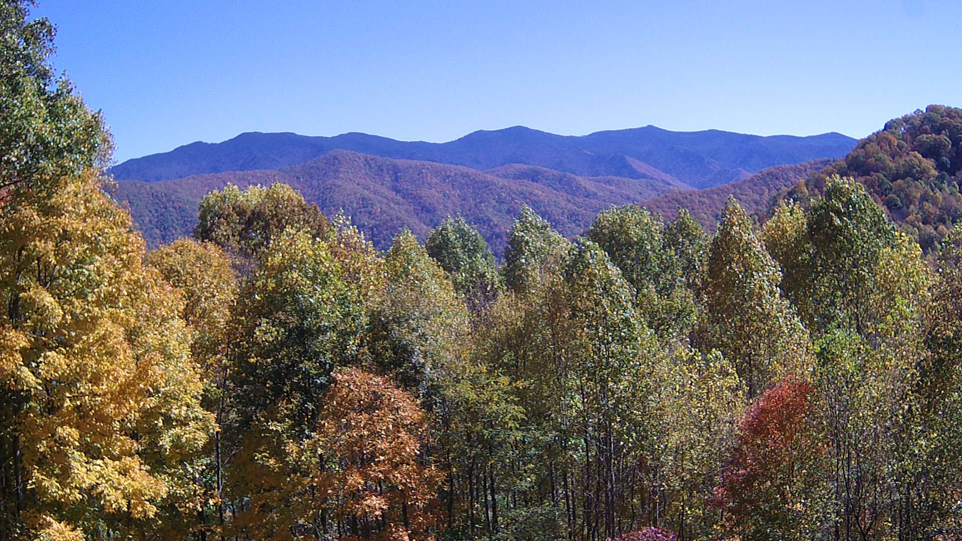 click for next image... slideshow image