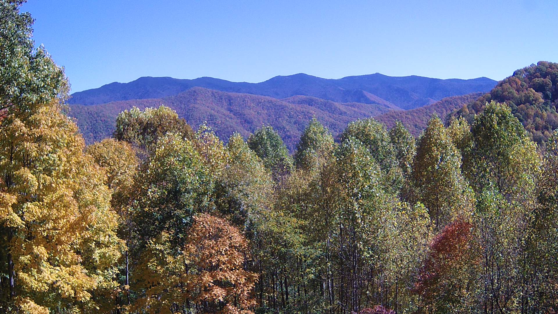 click for next image... slideshow image