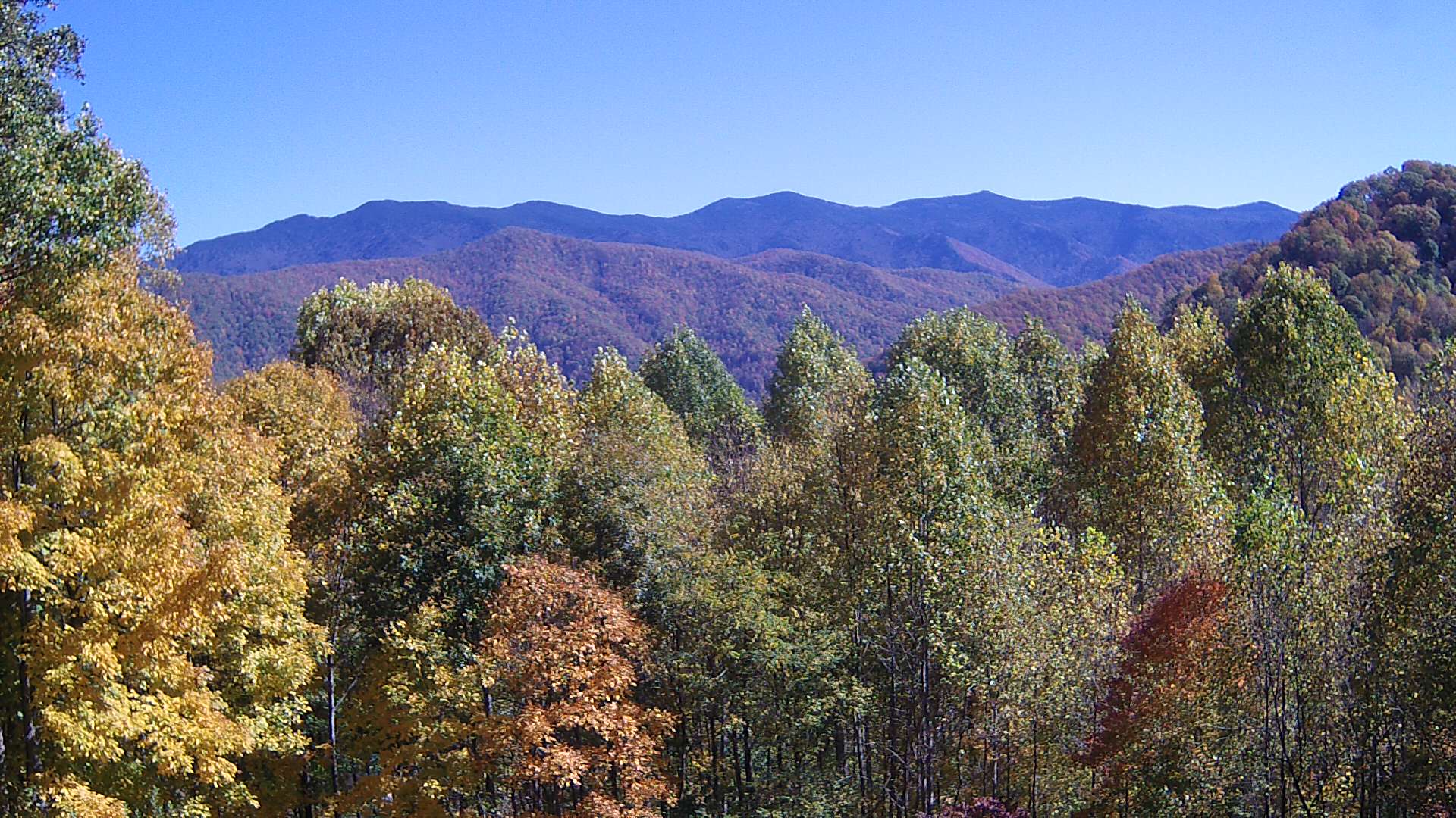 click for next image... slideshow image