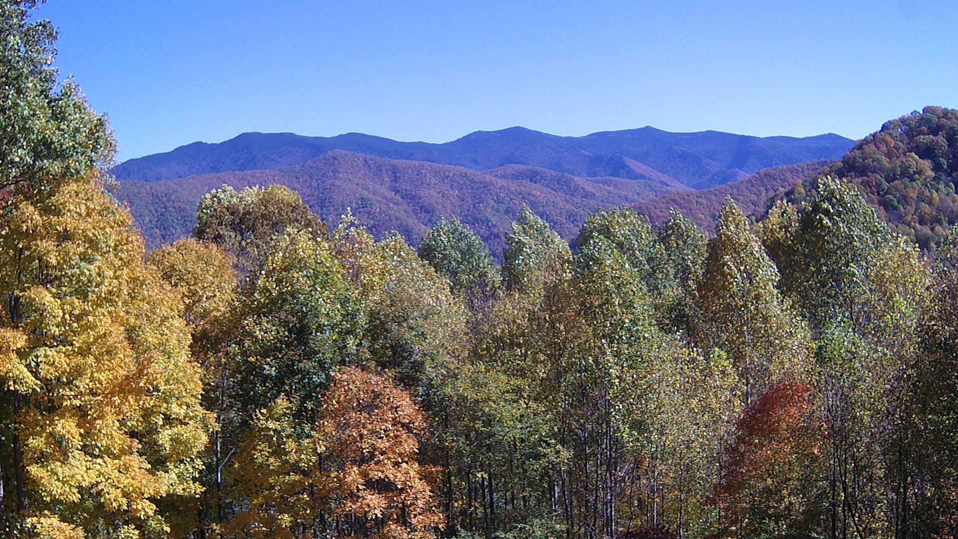 click for next image... slideshow image