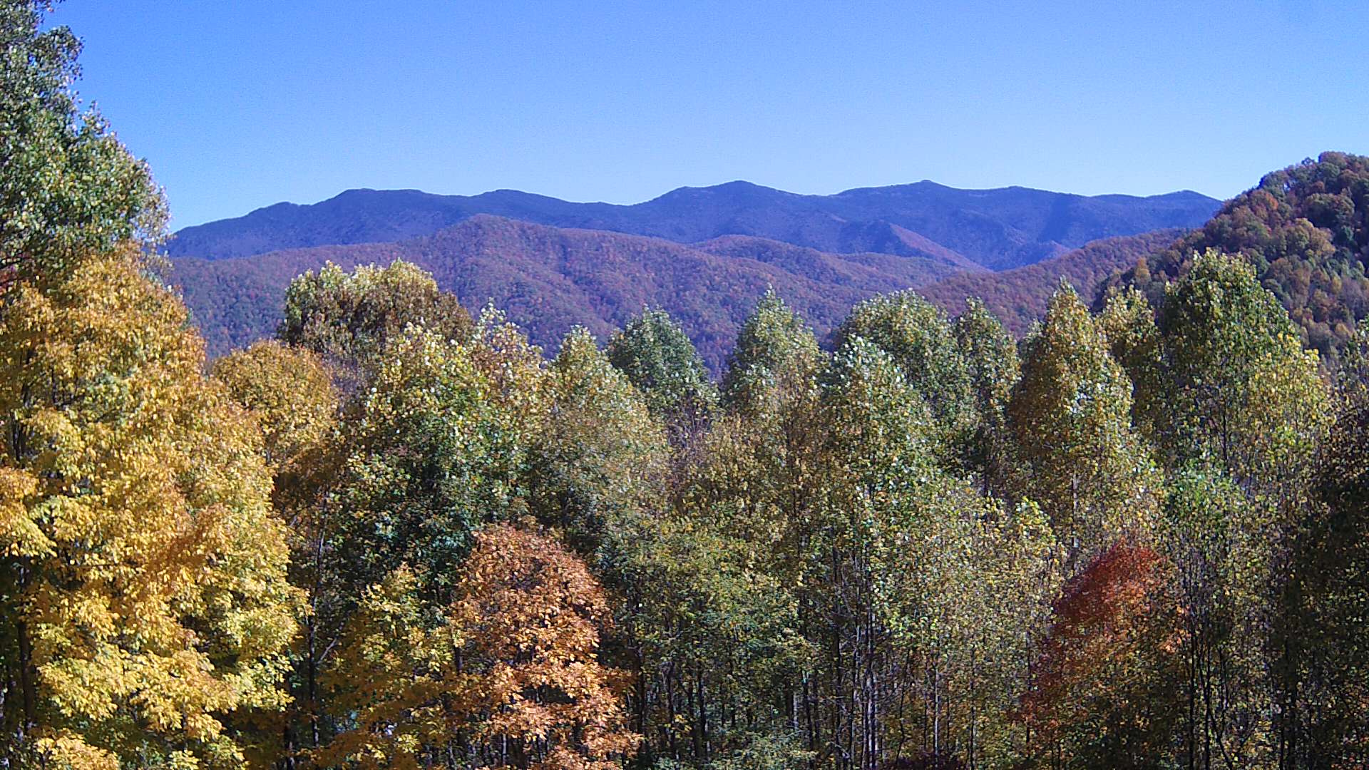 click for next image... slideshow image