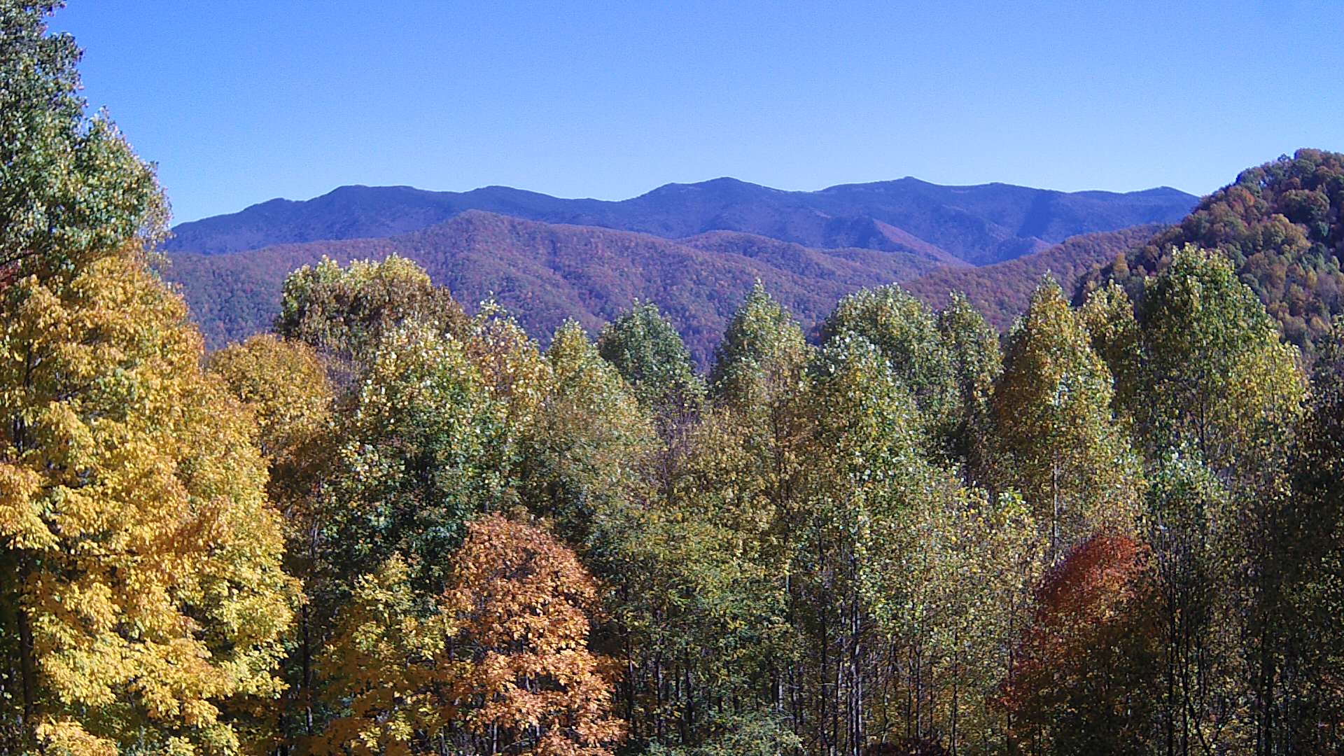 click for next image... slideshow image