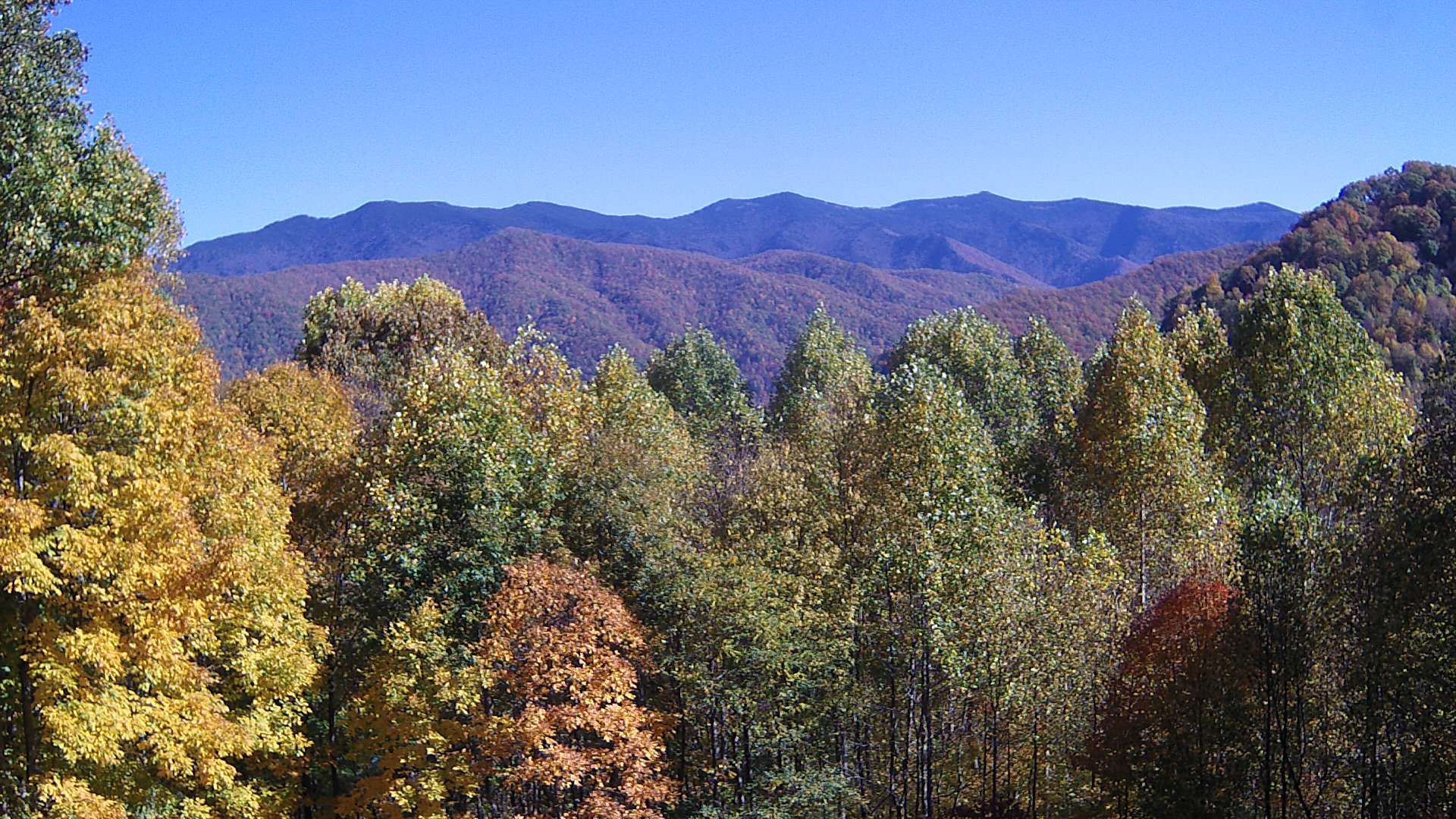 click for next image... slideshow image