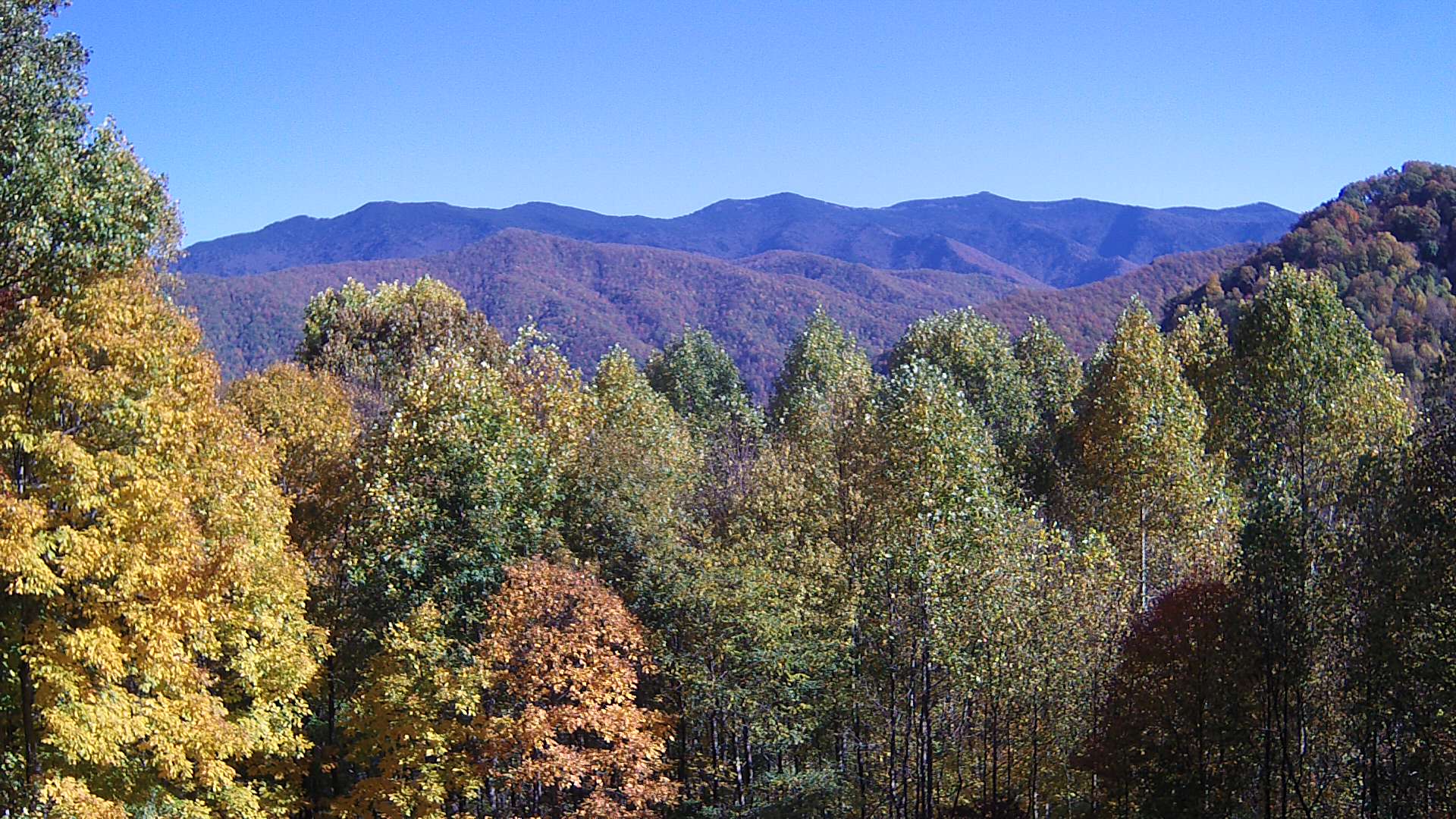 click for next image... slideshow image