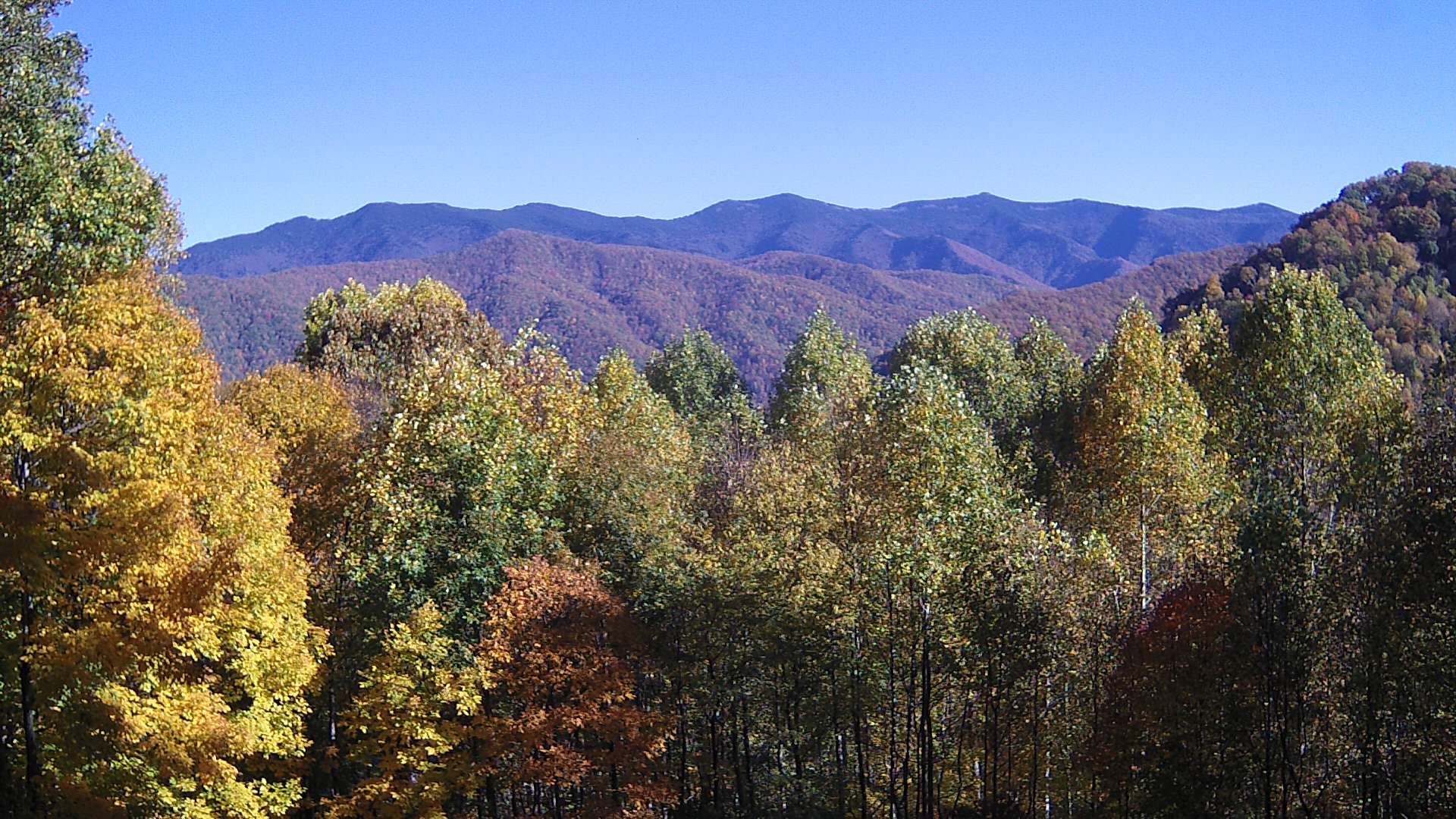 click for next image... slideshow image